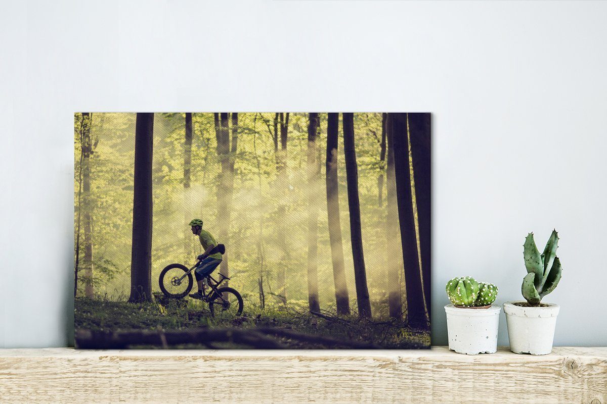 OneMillionCanvasses® Leinwandbild Mit dem Mountainbike cm die Wandbild durch Aufhängefertig, Wanddeko, Dänemarks, Leinwandbilder, (1 Wälder St), 30x20