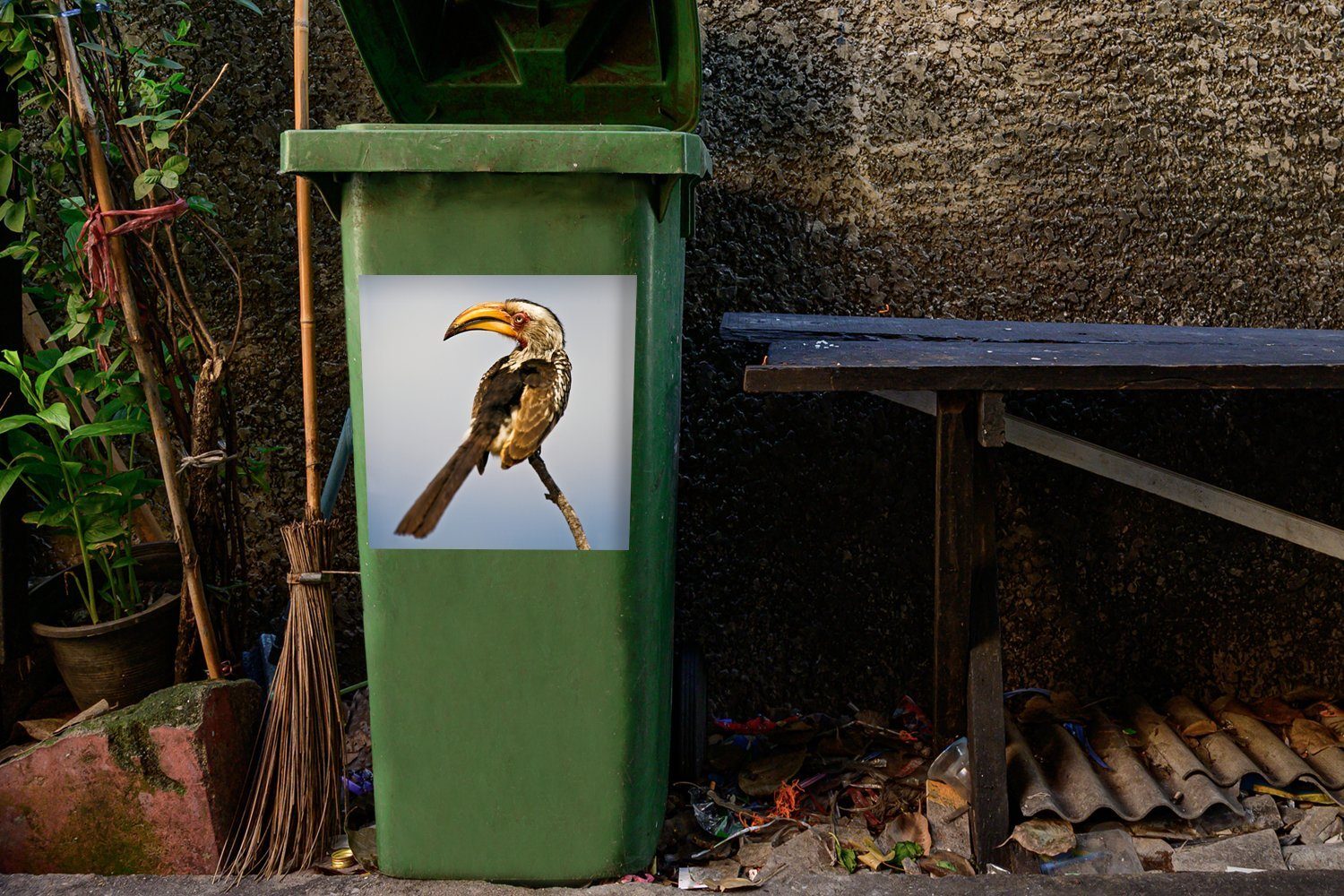 MuchoWow Wandsticker Beeindruckendes Porträt eines Abfalbehälter schönen Mülleimer-aufkleber, (1 Südlichen Mülltonne, Container, Sticker, St)