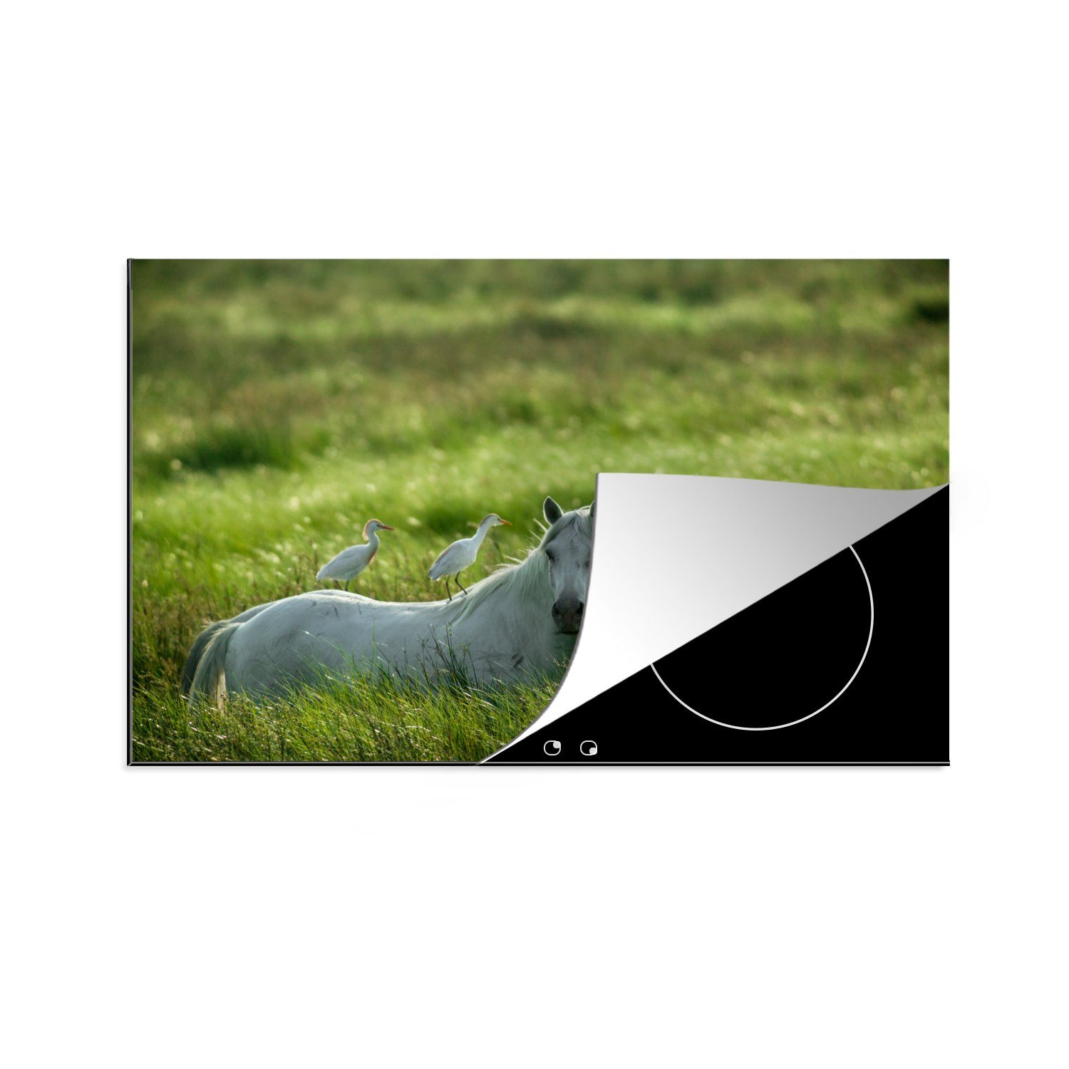 MuchoWow Herdblende-/Abdeckplatte Pferde - Vogel - Gras, Vinyl, (1 tlg), 81x52 cm, Induktionskochfeld Schutz für die küche, Ceranfeldabdeckung