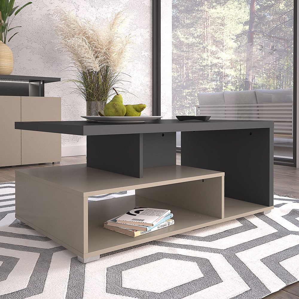 Lomadox Couchtisch SELCE-83, in anthrazit mit beige, offene Fächer, 100 cm günstig online kaufen