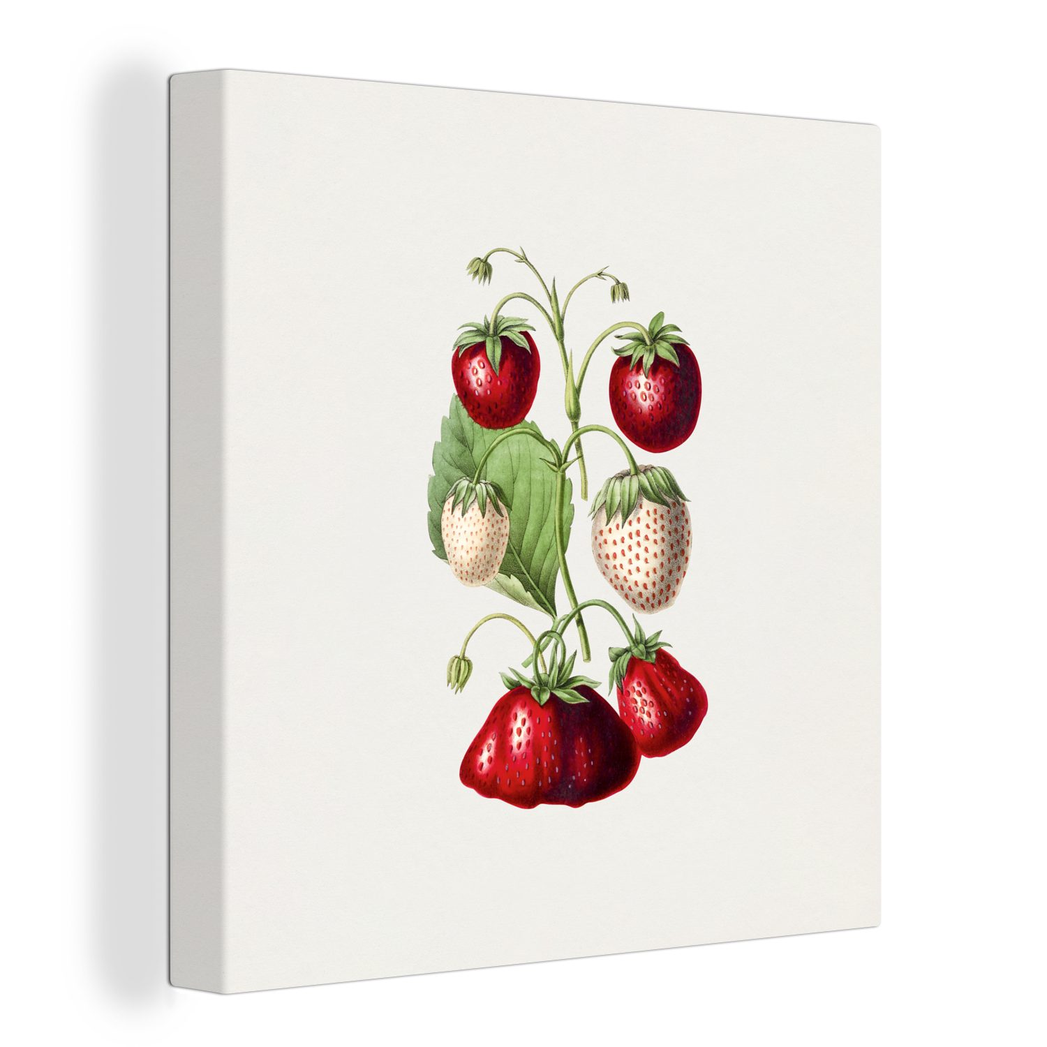 OneMillionCanvasses® Leinwandbild Erdbeeren - Pflanze - Frucht, (1 St), Leinwand Bilder für Wohnzimmer Schlafzimmer