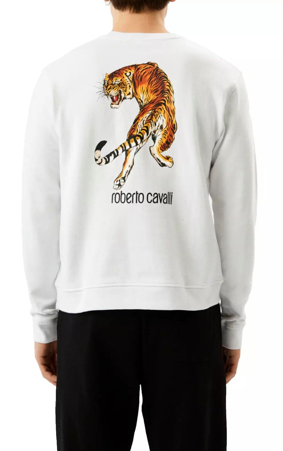 roberto cavalli Sweatshirt Firenze Tiger Sweatshirt günstig online kaufen