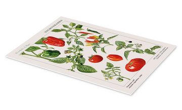 Posterlounge Forex-Bild Elizabeth Rice, Tomaten und andere Nachtschattengewächse, 1986, Esszimmer Landhausstil Grafikdesign