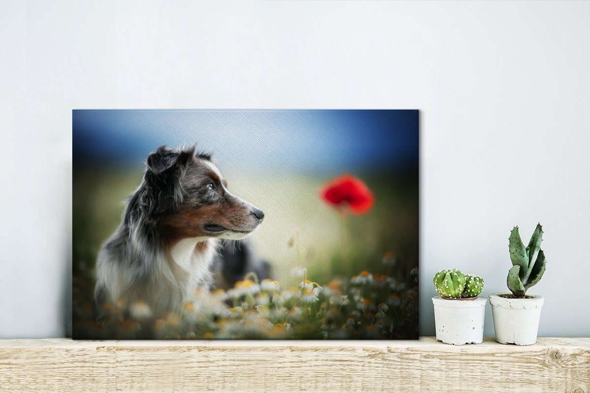 OneMillionCanvasses® 30x20 Leinwandbild Aufhängefertig, - St), Wandbild (1 Wanddeko, Hund - Blumen cm Farben, Leinwandbilder,