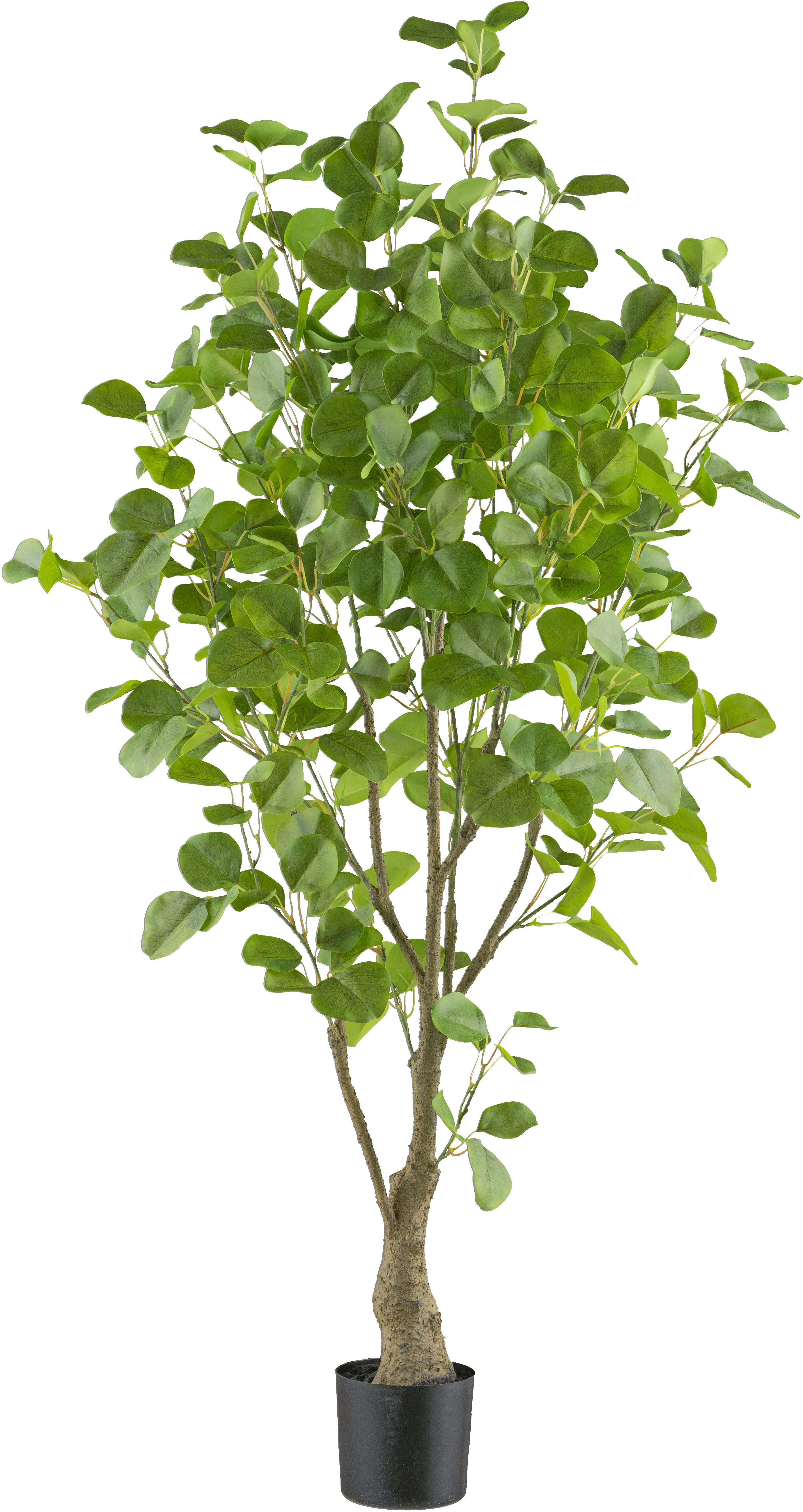Kunstbaum Eukalyptus Grünpflanze, Creativ green, Höhe günstig online kaufen
