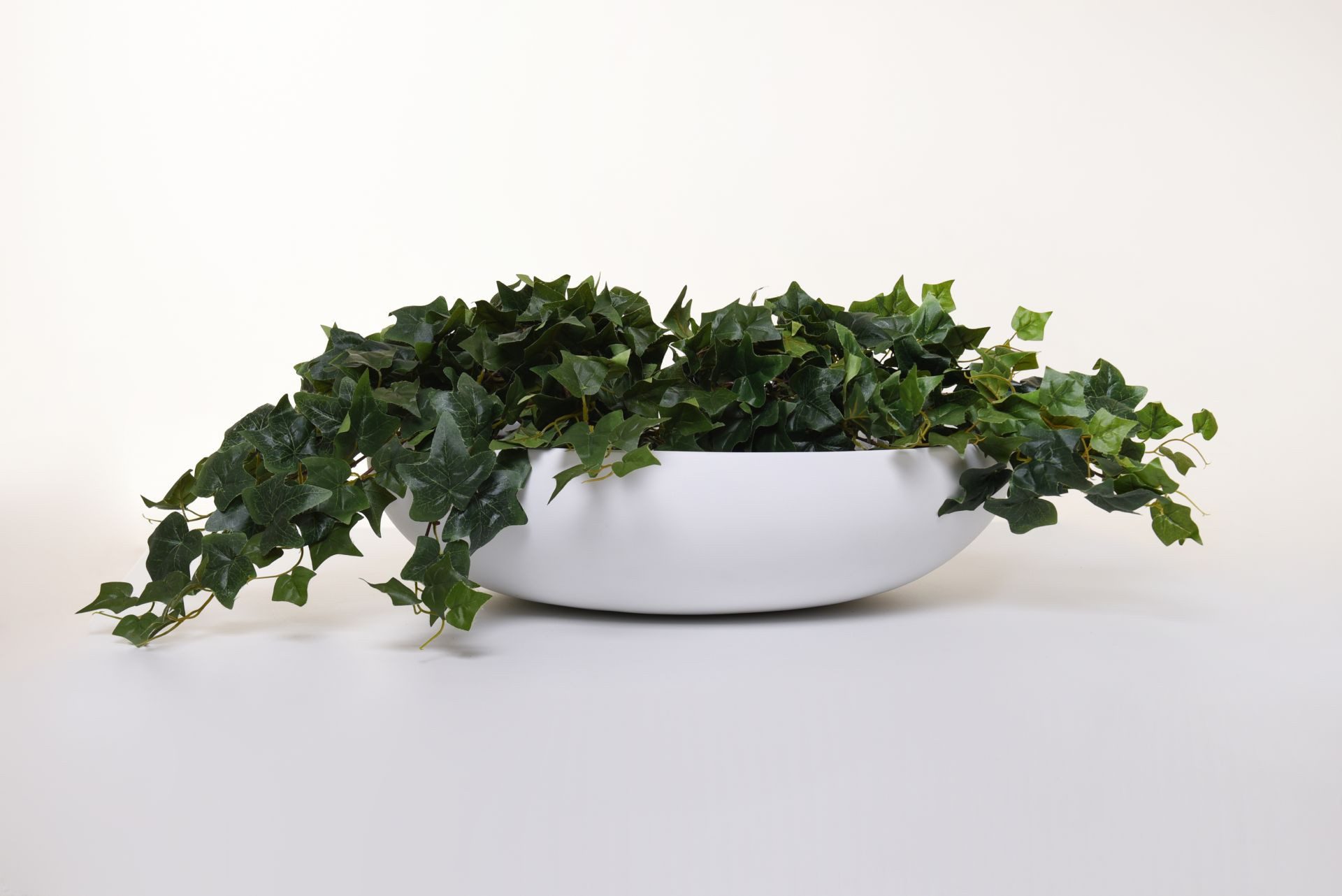 VIVANNO Pflanzschale Fiberglas PLANA Schale - günstig online kaufen