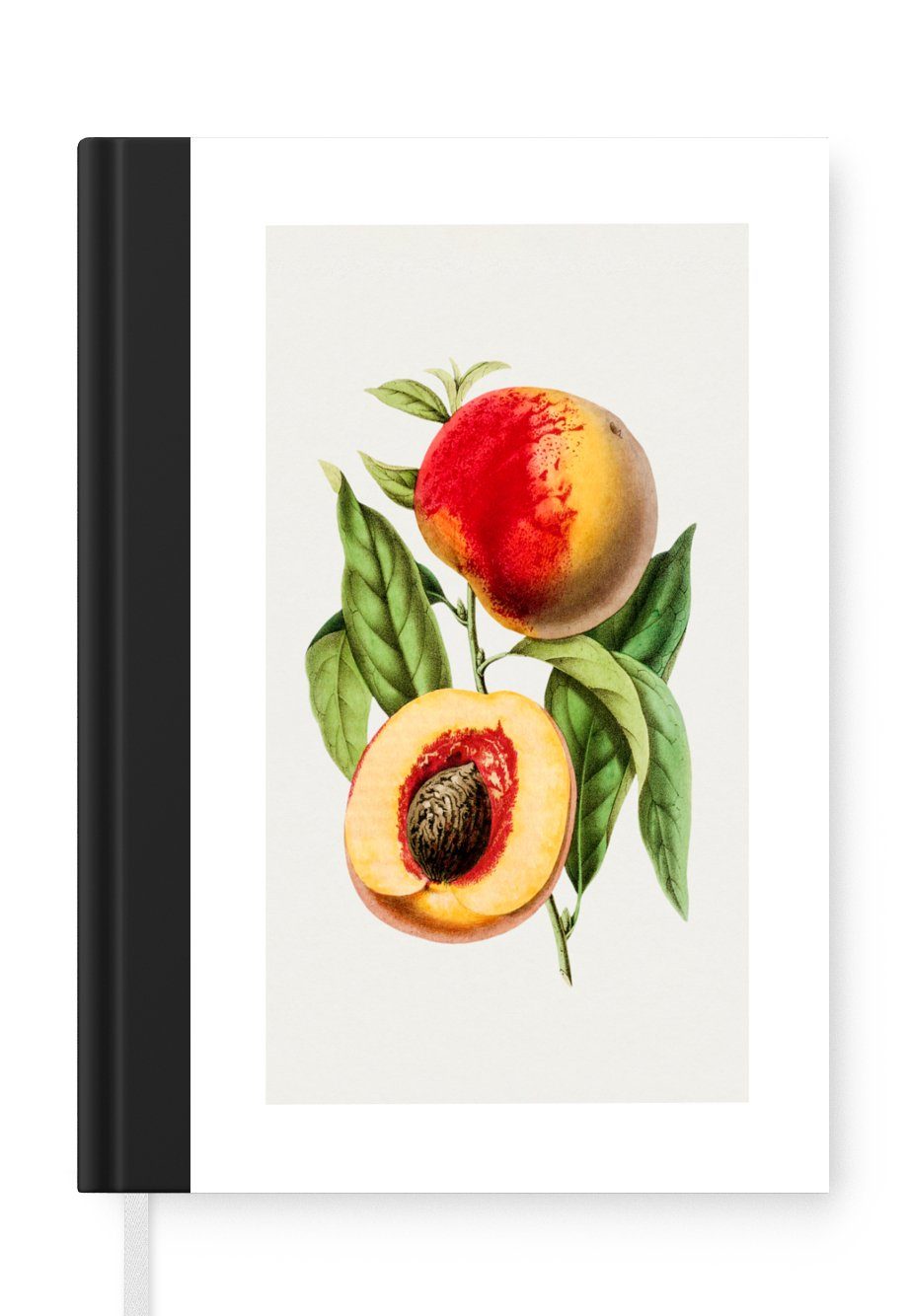 MuchoWow Notizbuch Lebensmittel - Pfirsich - Obst, Journal, Merkzettel, Tagebuch, Notizheft, A5, 98 Seiten, Haushaltsbuch