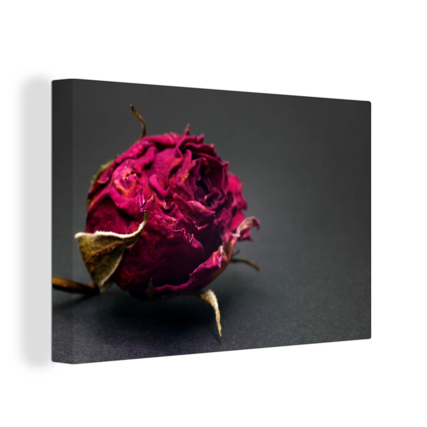 OneMillionCanvasses® Leinwandbild Rosen - Farbton - Rot, (1 St), Wandbild Leinwandbilder, Aufhängefertig, Wanddeko, 30x20 cm