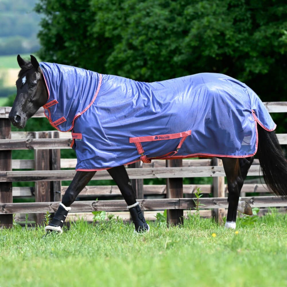 Bucas Pferde-Fliegendecke Bucas Freedom Fly Sheet Full Neck