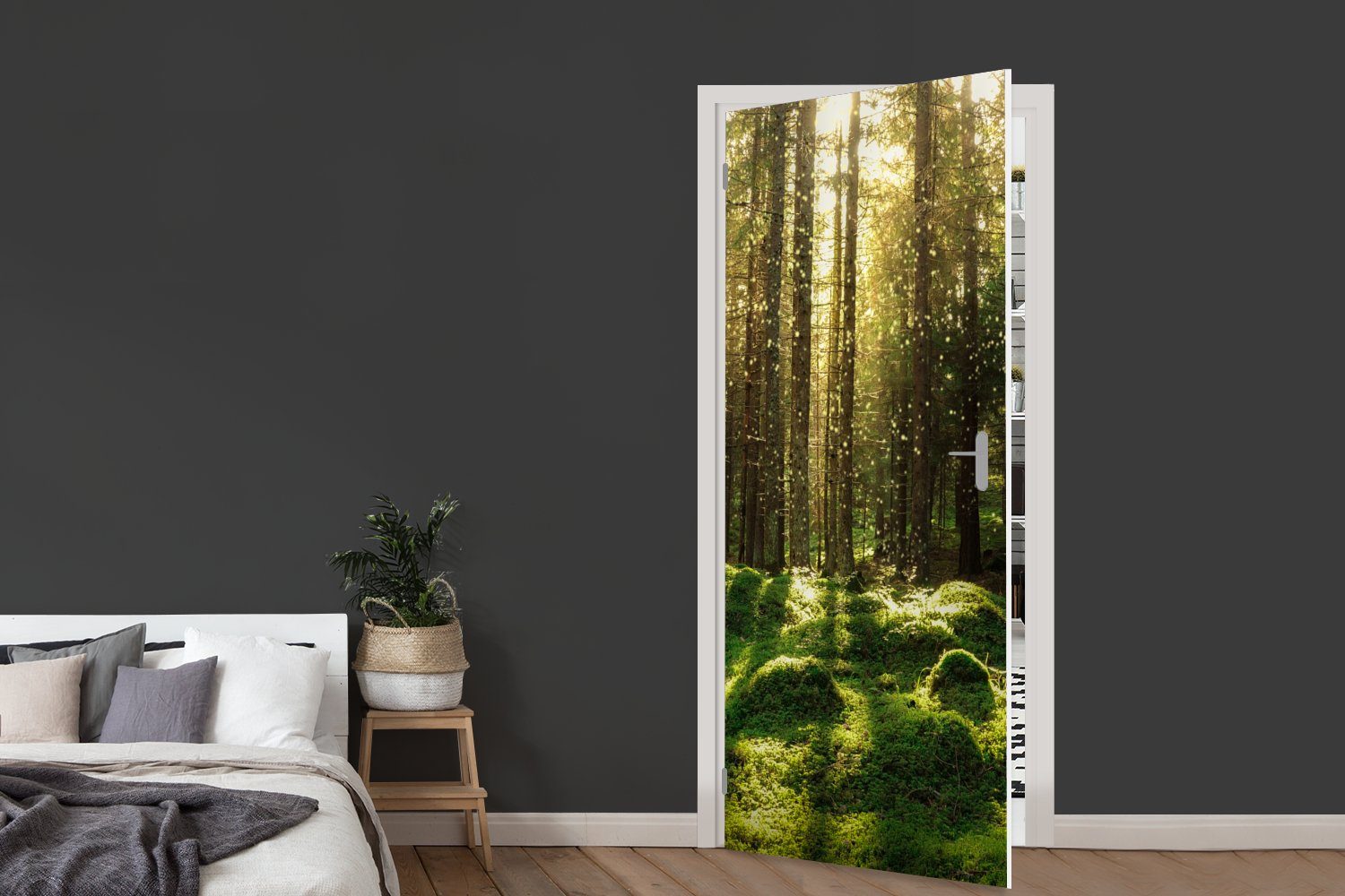 Tür, - St), Pflanzen Wald Matt, Moos 75x205 für Türaufkleber, MuchoWow - Türtapete - Fototapete bedruckt, Bäume - - Sonne Natur, (1 cm