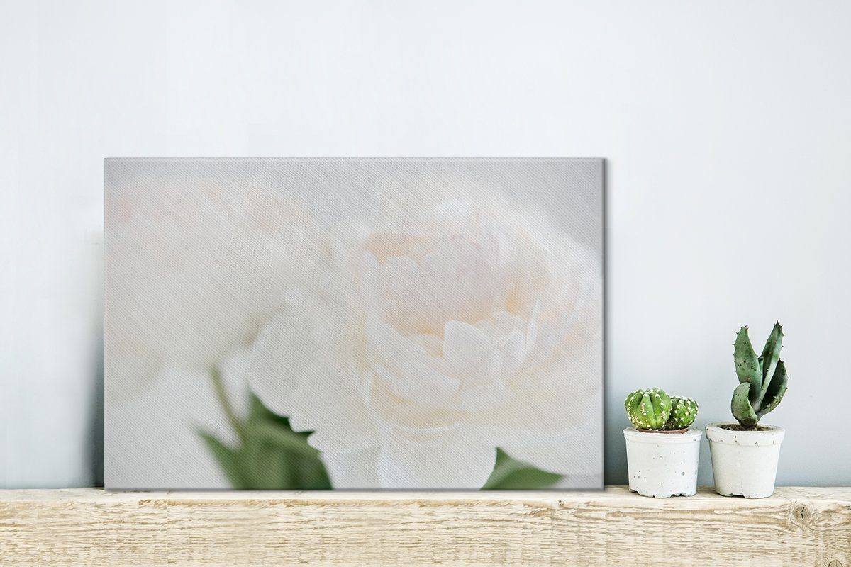 OneMillionCanvasses® Leinwandbild Ein Blumenstrauß mit weißen Pfingstrosen, Fotodruck (1 St), Leinwand Bilder Klein, Wand Dekoration Aesthetic 30x20 cm – Bild 2 von 5