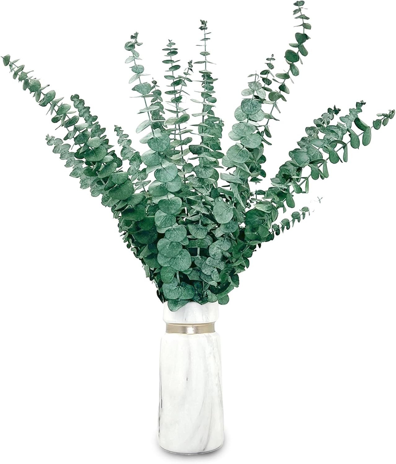 Kunstblumenstrauß Eukalyptus Getrocknet 43cm Natürliche Trockenblumen