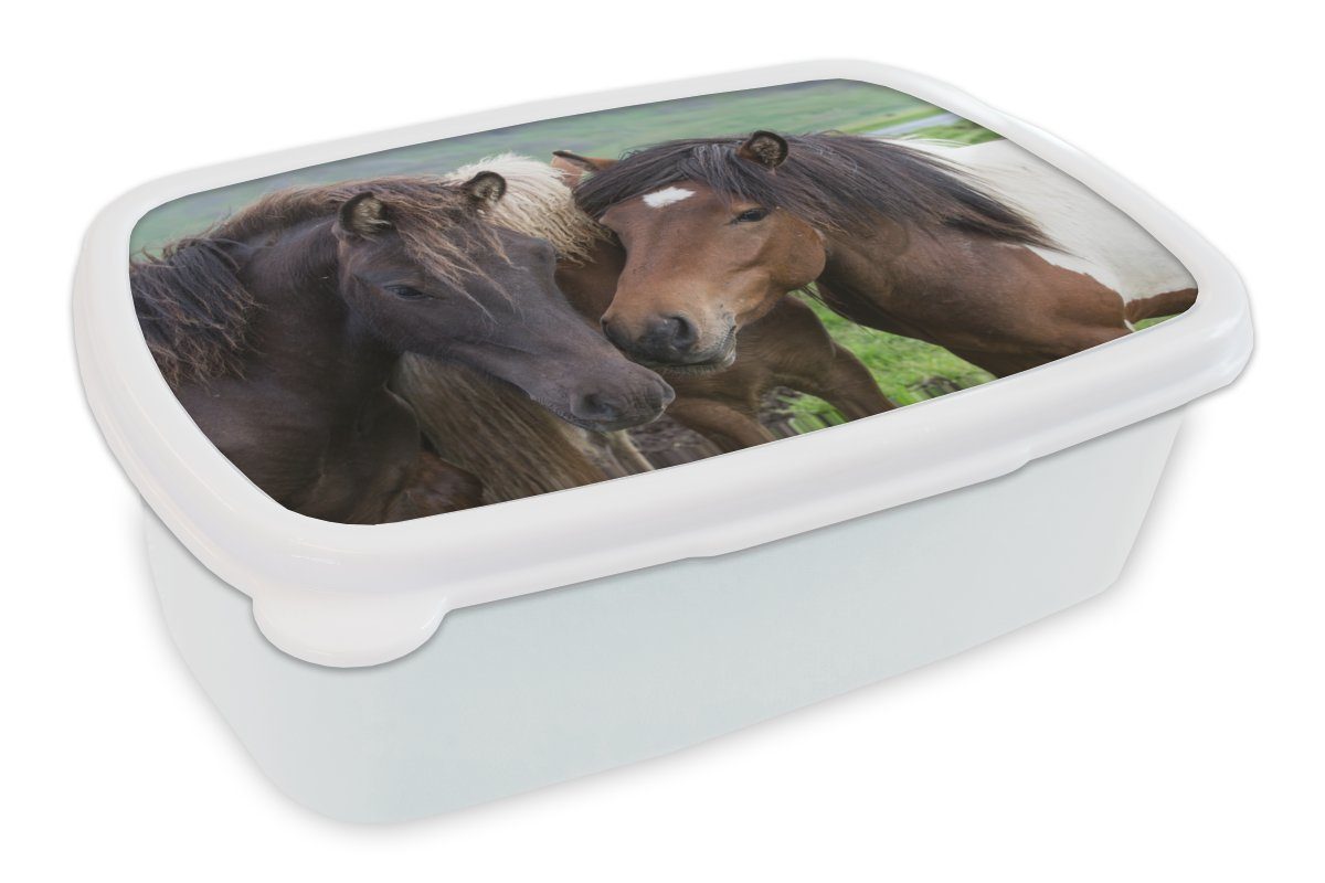 MuchoWow Lunchbox Pferde - Tiere - Braun, Kunststoff, (2-tlg), Brotbox für Kinder und Erwachsene, Brotdose, für Jungs und Mädchen weiß
