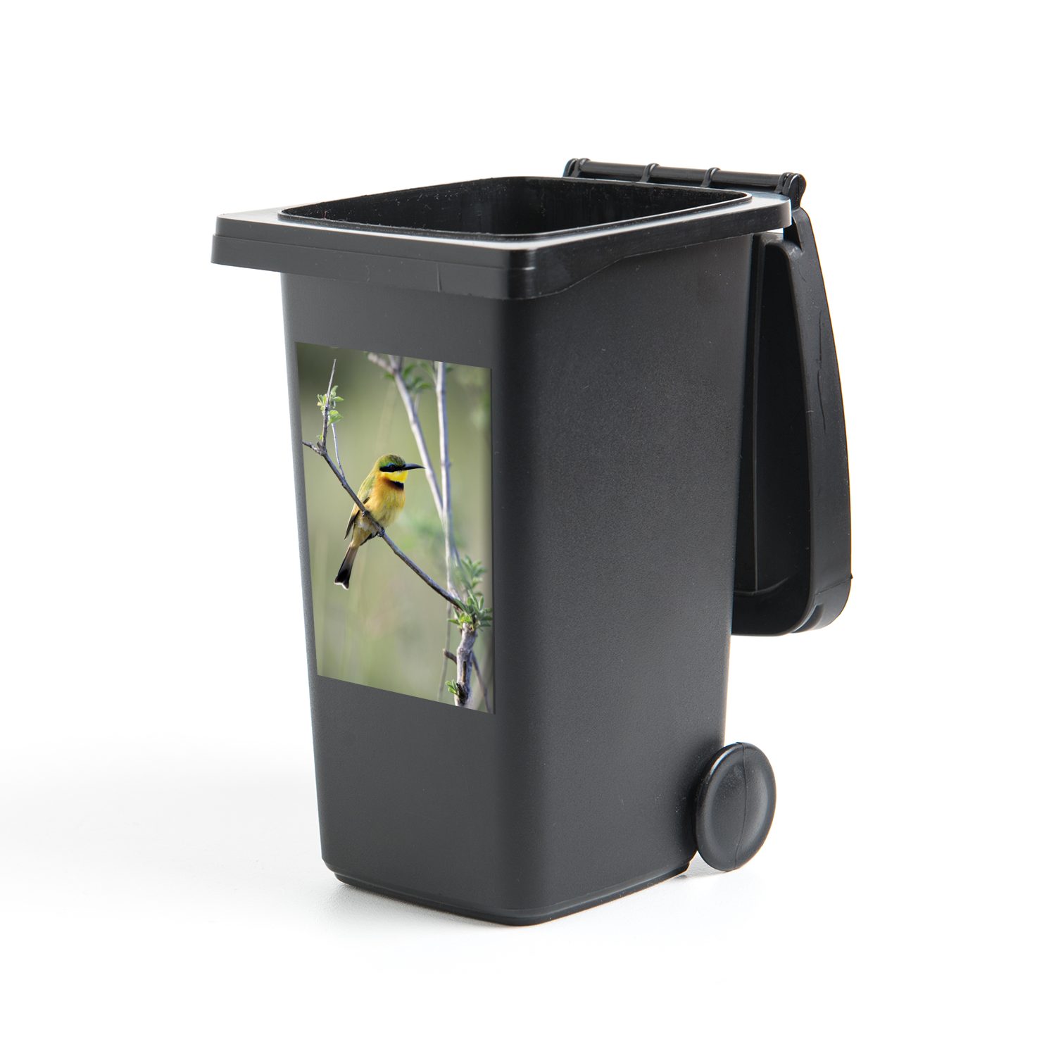 MuchoWow Wandsticker Ein bunter Zwergbienenfresser auf einem Ast (1 St), Mülleimer-aufkleber, Mülltonne, Sticker, Container, Abfalbehälter