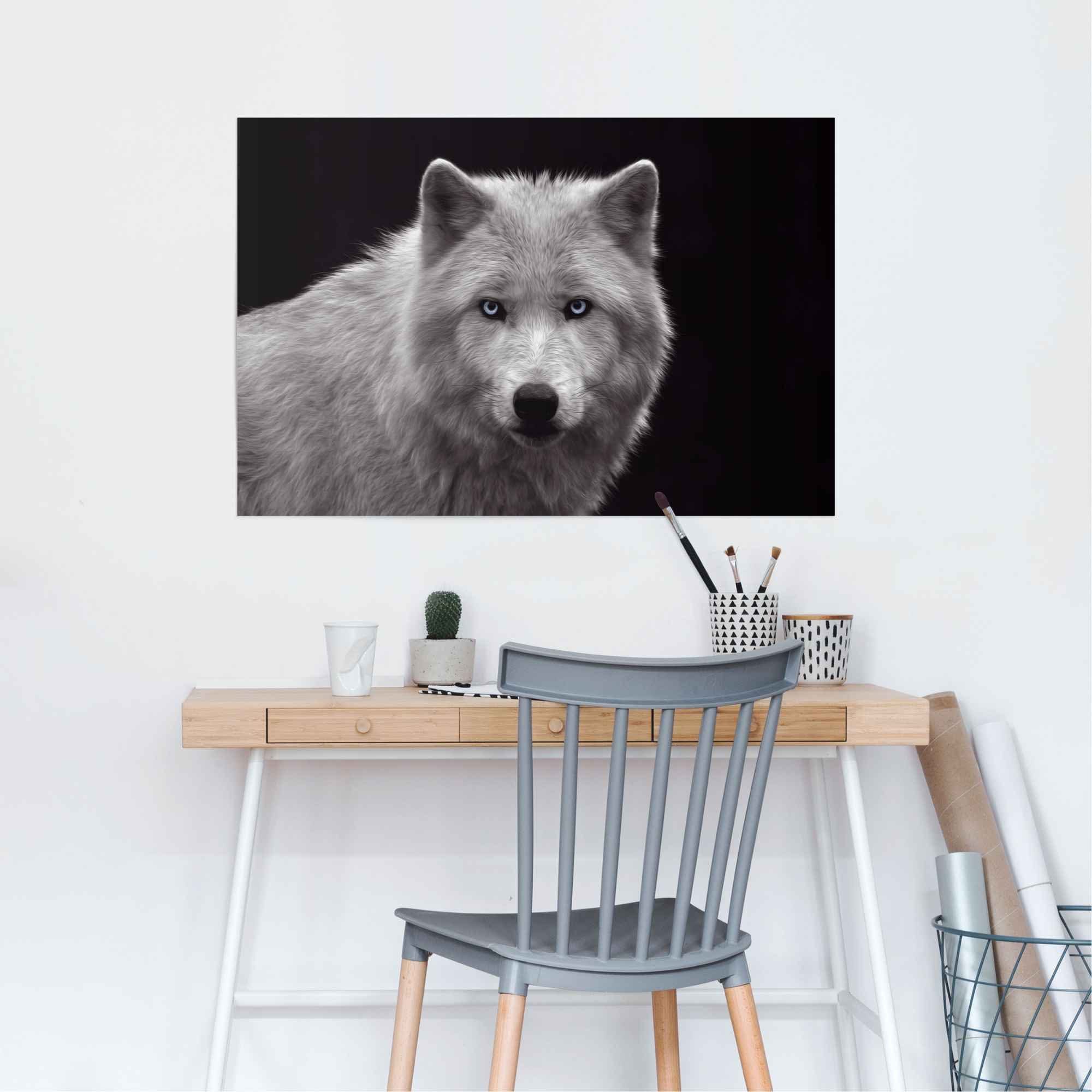 Reinders! Poster Weißer Wolf, (1 St)