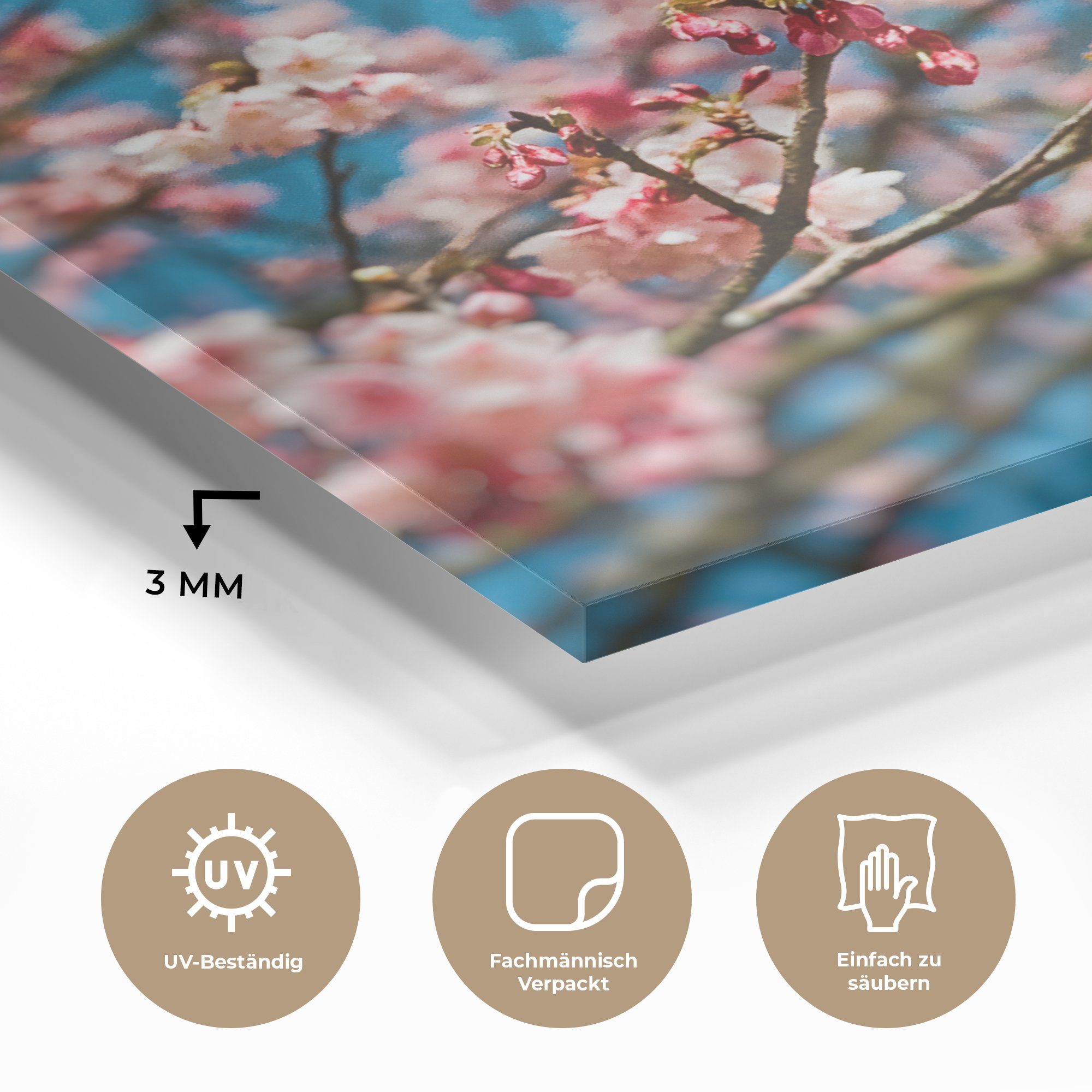 - Glas Sakura Wandbild Glasbilder MuchoWow Bilder St), (1 Rosa, Frühling - - Glas auf Acrylglasbild auf Foto - Wanddekoration -