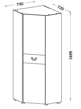 Feldmann-Wohnen Eckschrank Carina (1-St) 73x73x189,5cm graphit hell weiß Nash Eiche