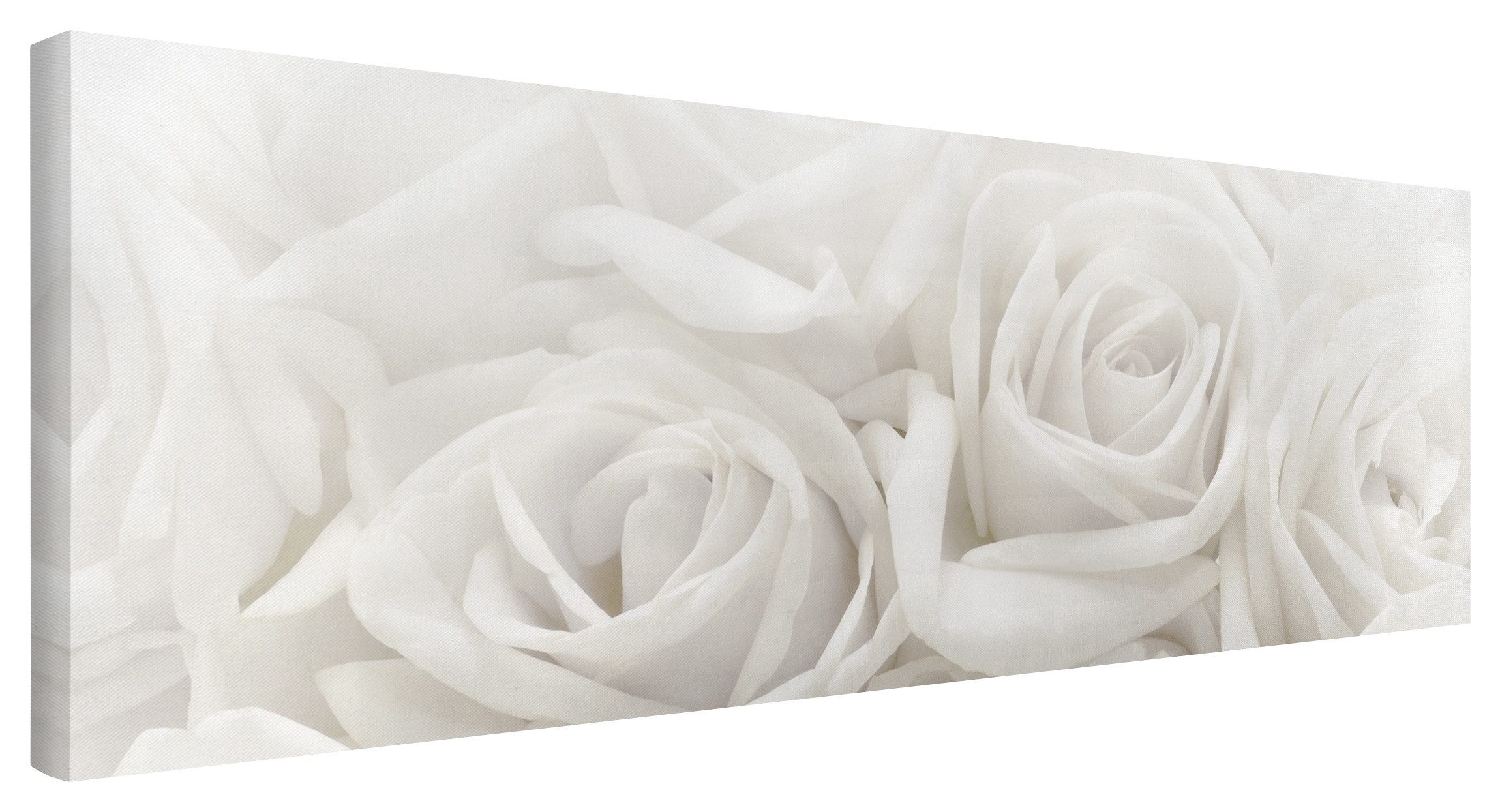 Leinwandbild Blumen Natur Modern Rosen weiss Bild auf Leinwand Groß XXL