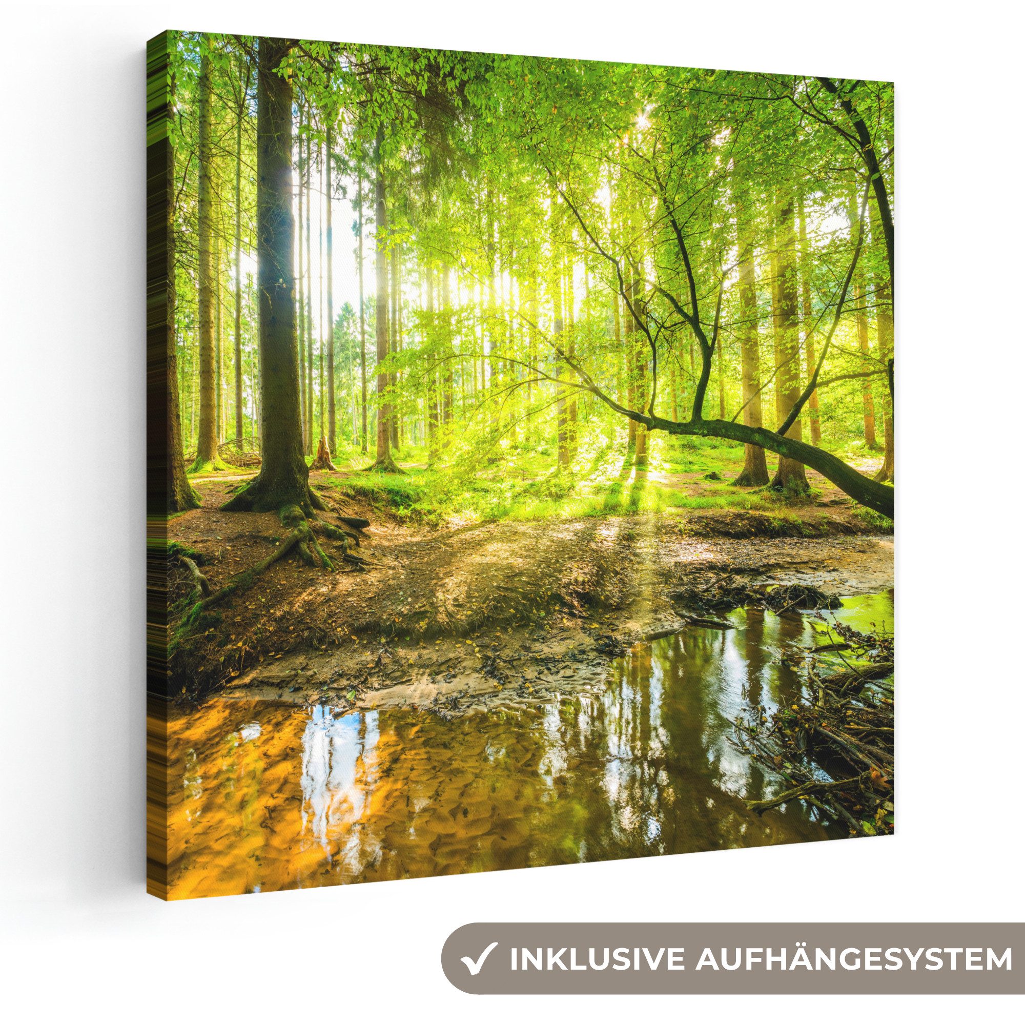 OneMillionCanvasses® Leinwandbild Wald - Landschaft - Wasser - Bäume - Sonne - Grün - Natur, Fotodruck (1 St), Wandbild, Deko Schlafzimmer Wohnzimmer Flur 20x20 cm