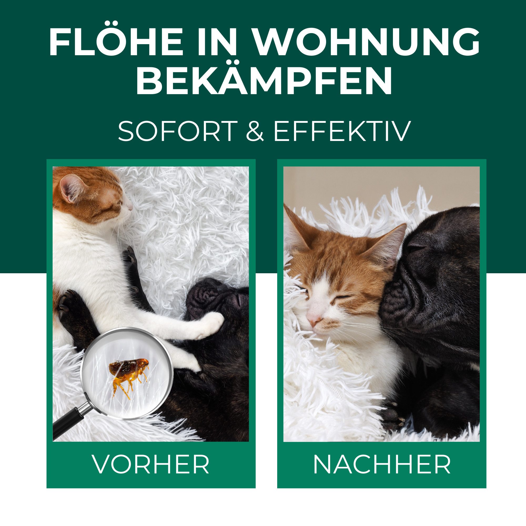 Thumbnail - Silberkraft Insektenspray Silberkraft Flohspray für Umgebung, gegen Flöhe, Zecken & Milben, 500 ml, 2-St., Effektiv und ...