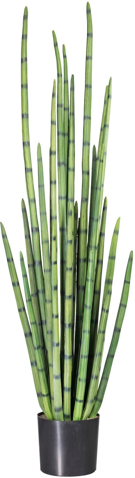 Kunstpflanze Sanseveria, Creativ green, Höhe 140 günstig online kaufen