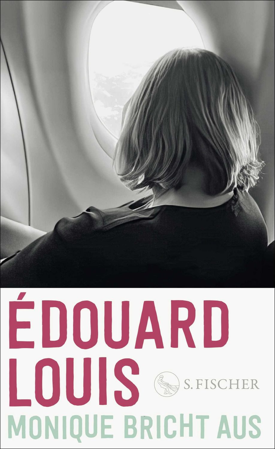 Monique bricht aus / Édouard Louis