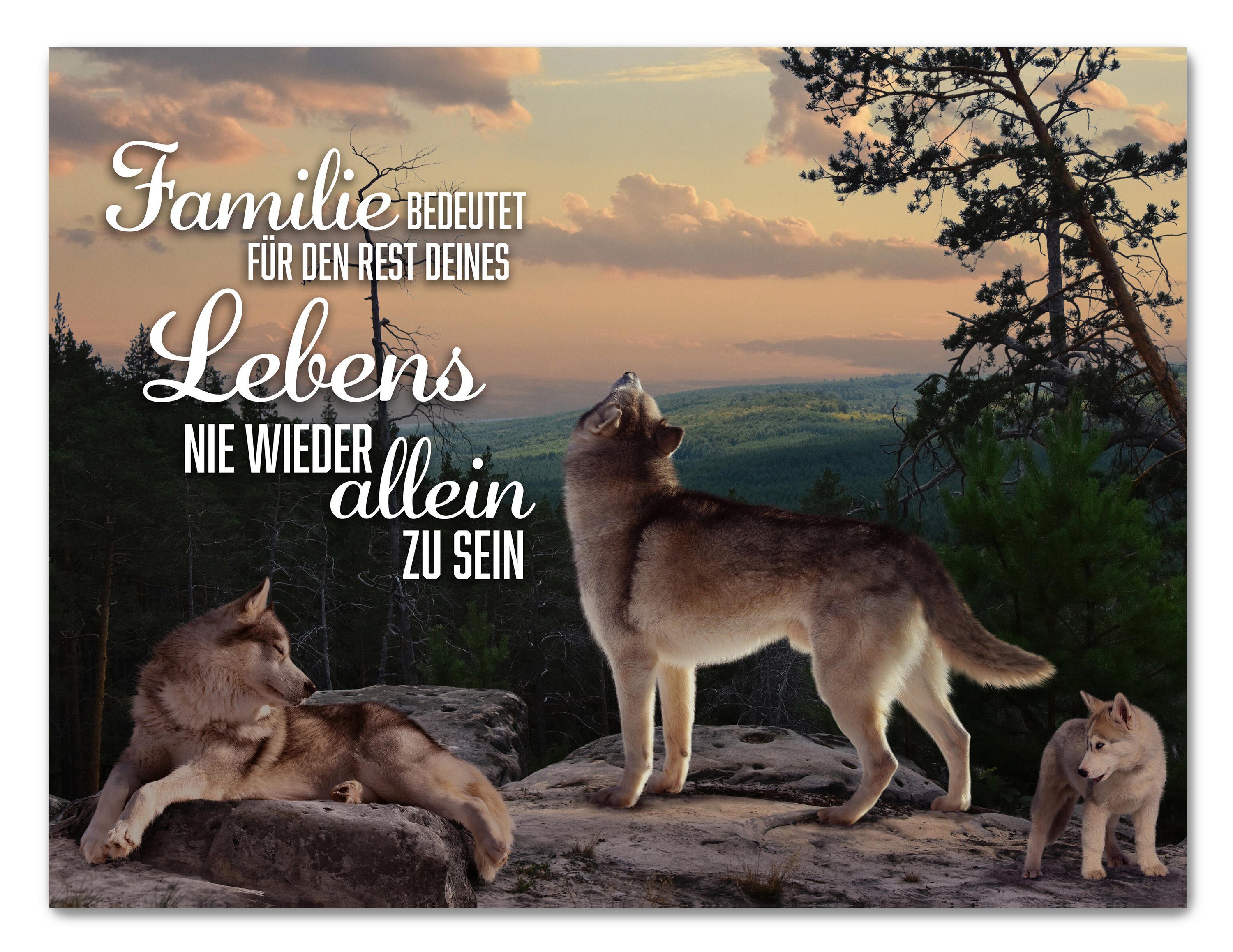 wandmotiv24 Leinwandbild Familie, Querformat, Familien, Wölfe, Wolf