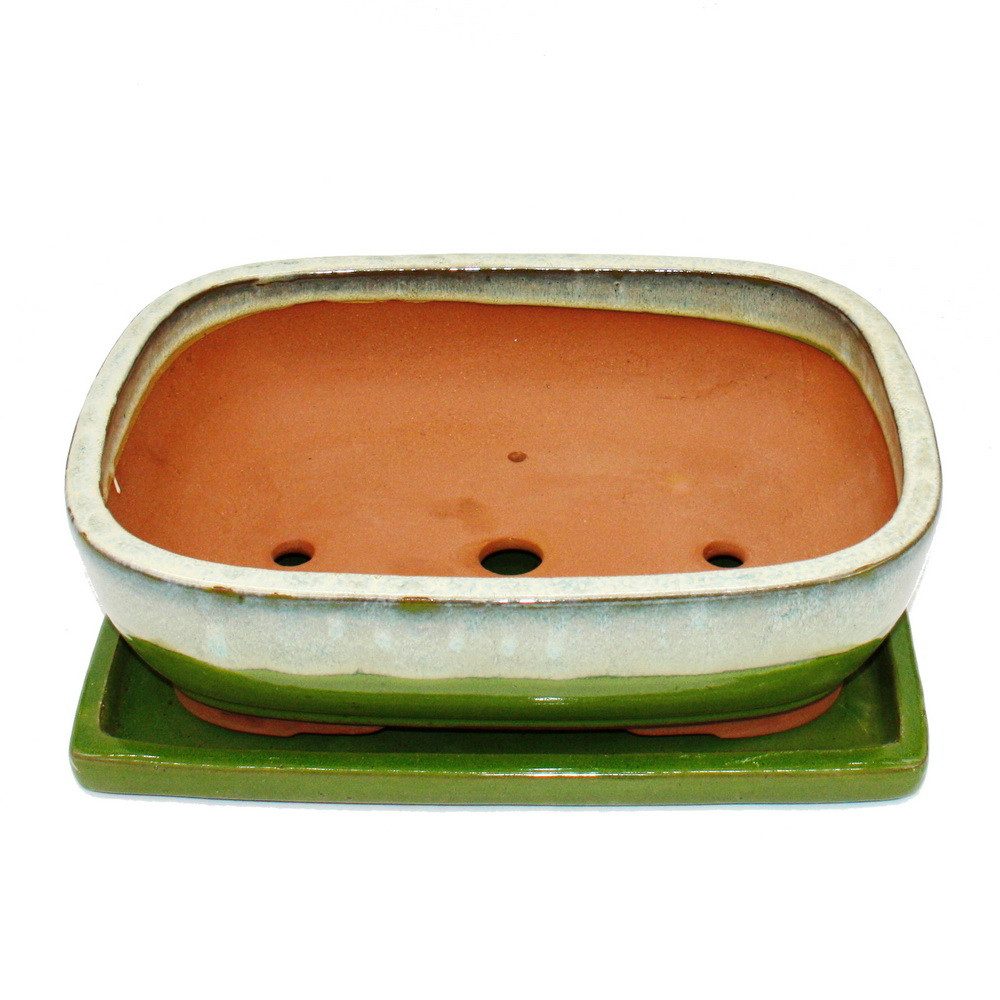 Exotenherz Pflanzschale Bonsai-Schale Unterteller Gr.6 Grün-Beige rechtecki günstig online kaufen