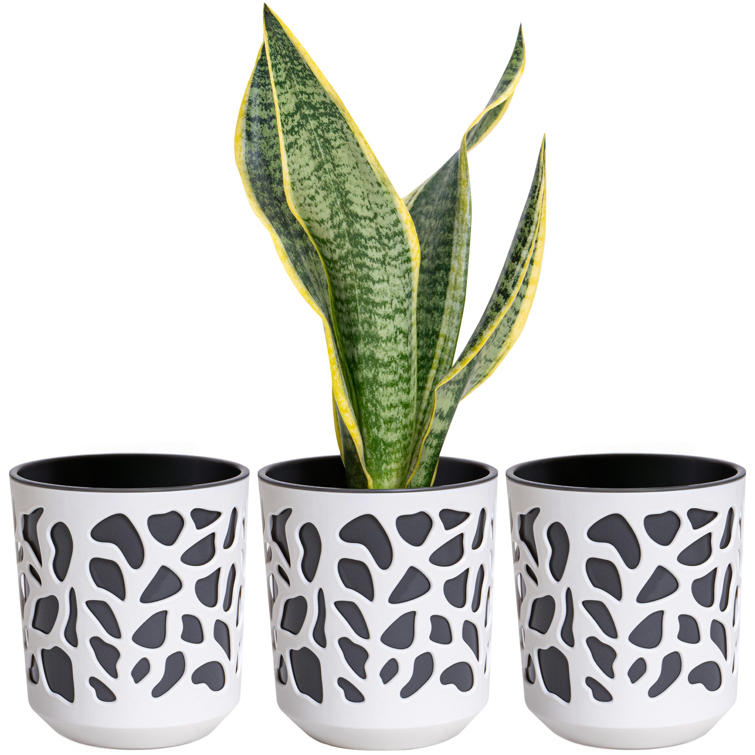 KONZEPT Blumentopf 3er Set Blumentopf klein, günstig online kaufen