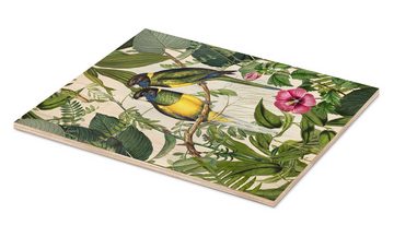 Posterlounge Holzbild Andrea Haase, Tropische Vögel III, Vintage Illustration