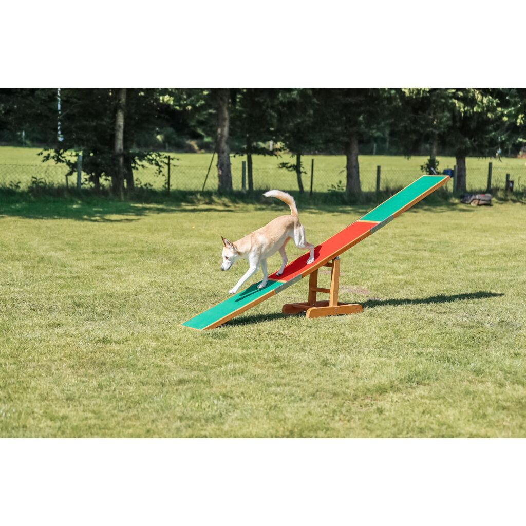 TRIXIE Agility-Wippe Fun Agility Wippe - diverse - 300 × 54 × 34 cm, Kunststoff