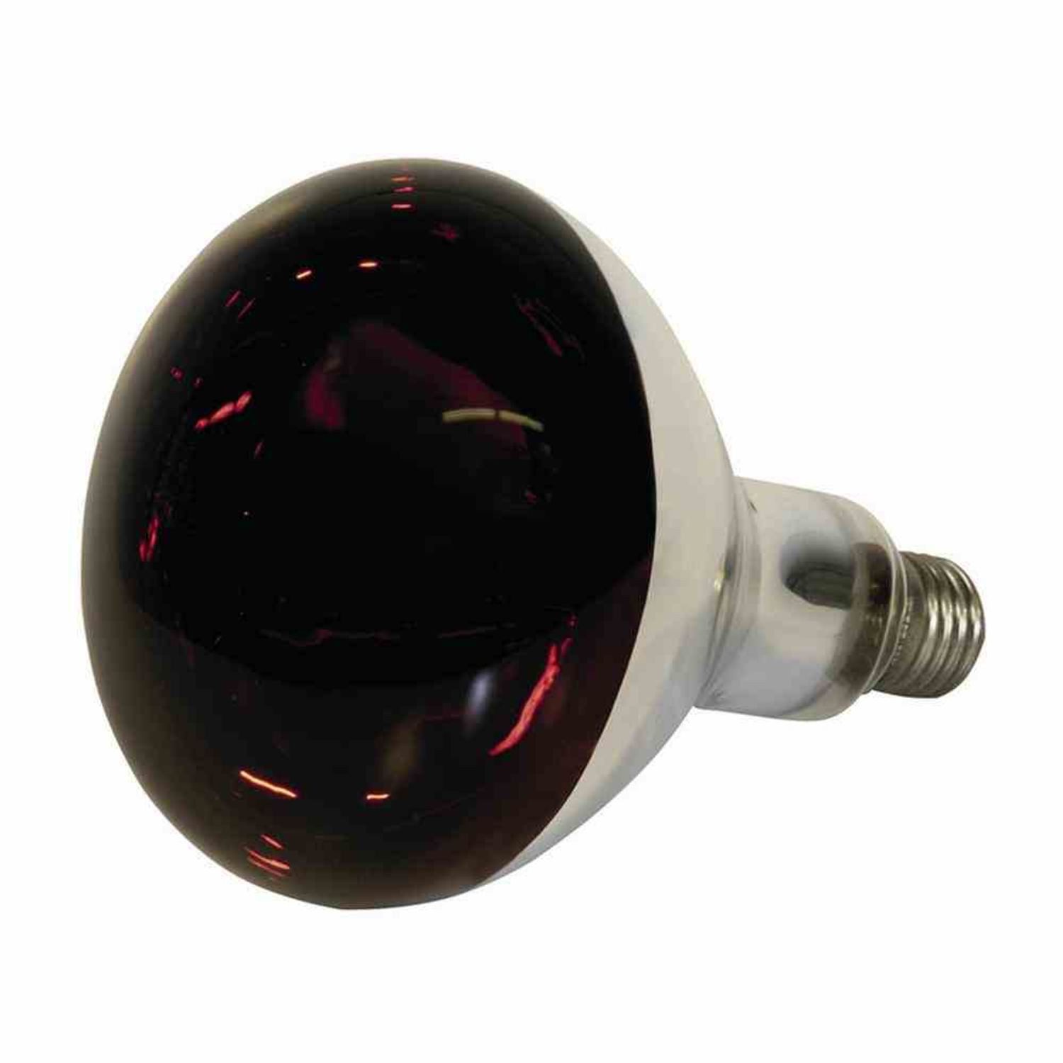 Kerbl Infrarotlampe Infrarotlampe 250W rot hartglas Wärmelampe Aufzucht Viehaufzucht Lampe