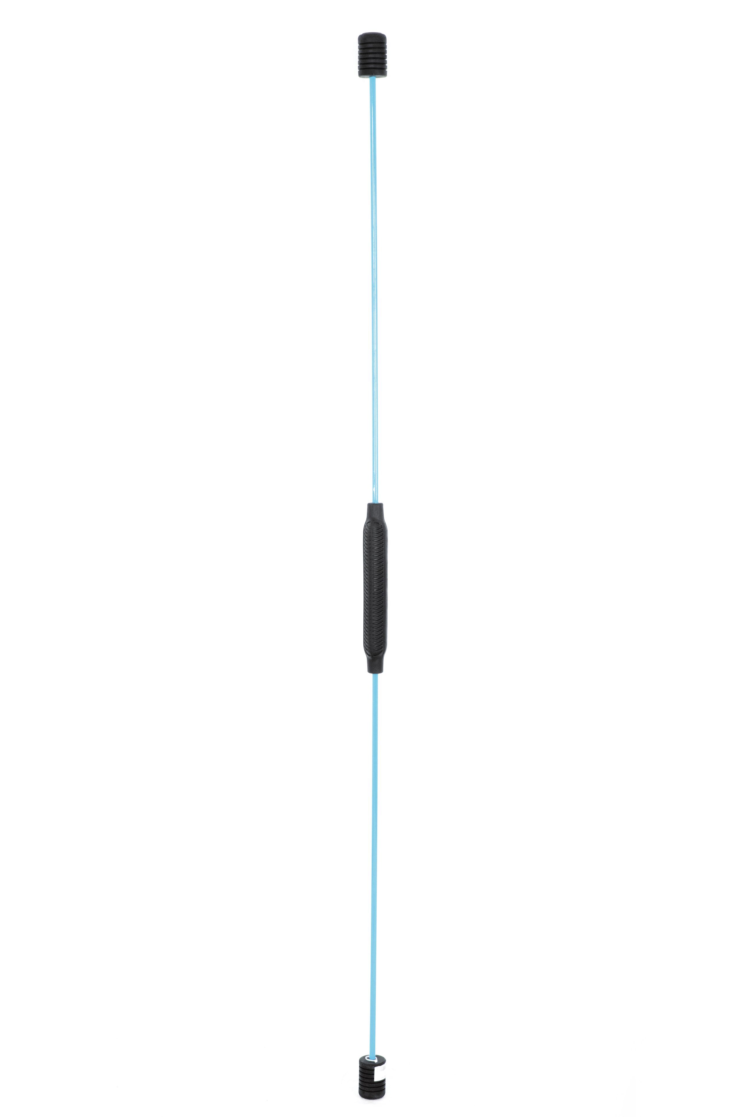 FlexiFlexi Swingstick 1-St) (1, Carromco Schwingstab, himmelblau Push,