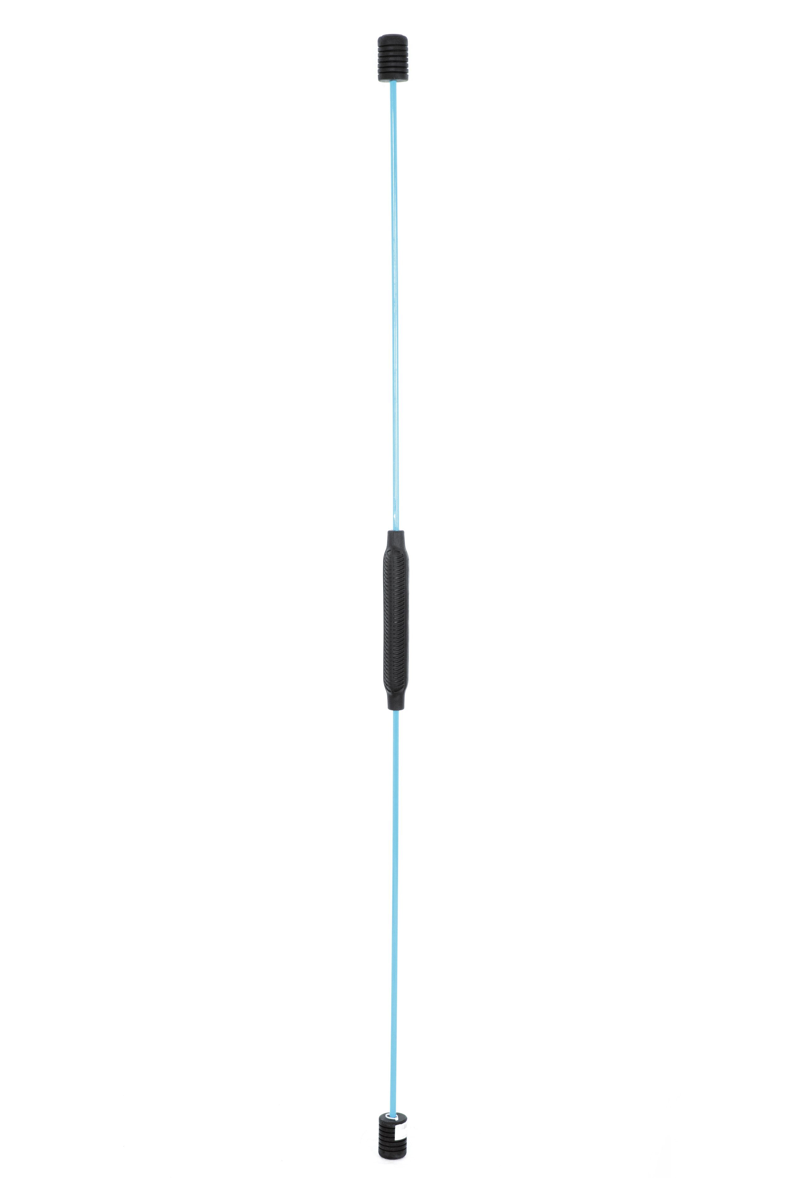 FASports Swingstick FlexiFlexi Push, Schwingstab, himmelblau (1-St)