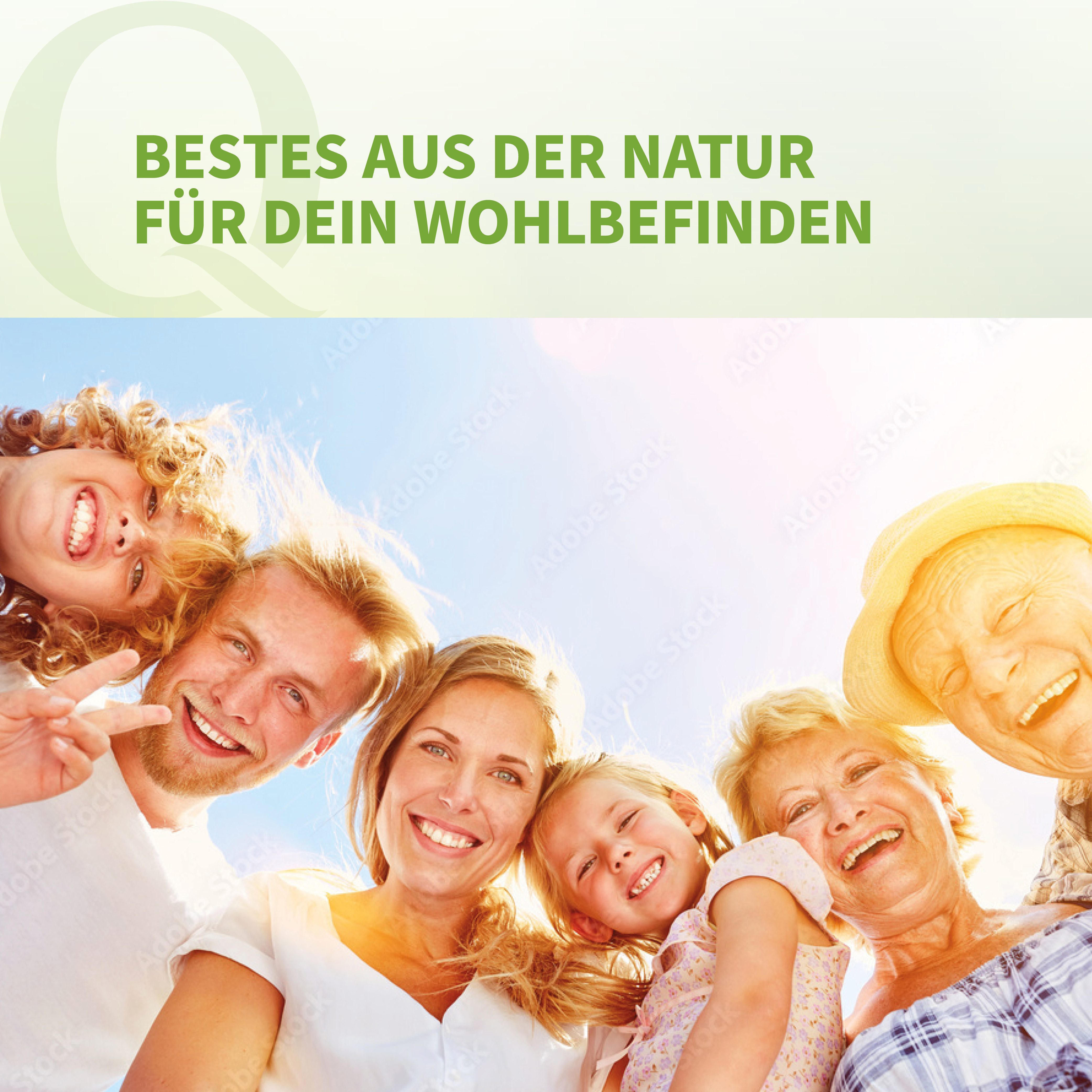 Quintessence Bio-Gelber Steinklee Urtinktur - hergestellt aus dem Kraut -Vegane Tropfen, 50 ml