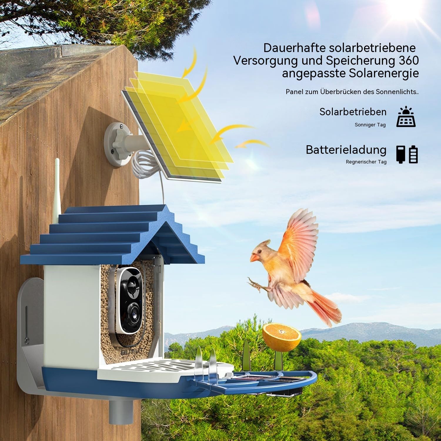 TWUFY Vogelhaus Vogelfutterhaus mit Kamera 2K HD Vollfarbe Nachtsicht, KI Vogelerkennung Sofortiger Benachrichtigung
