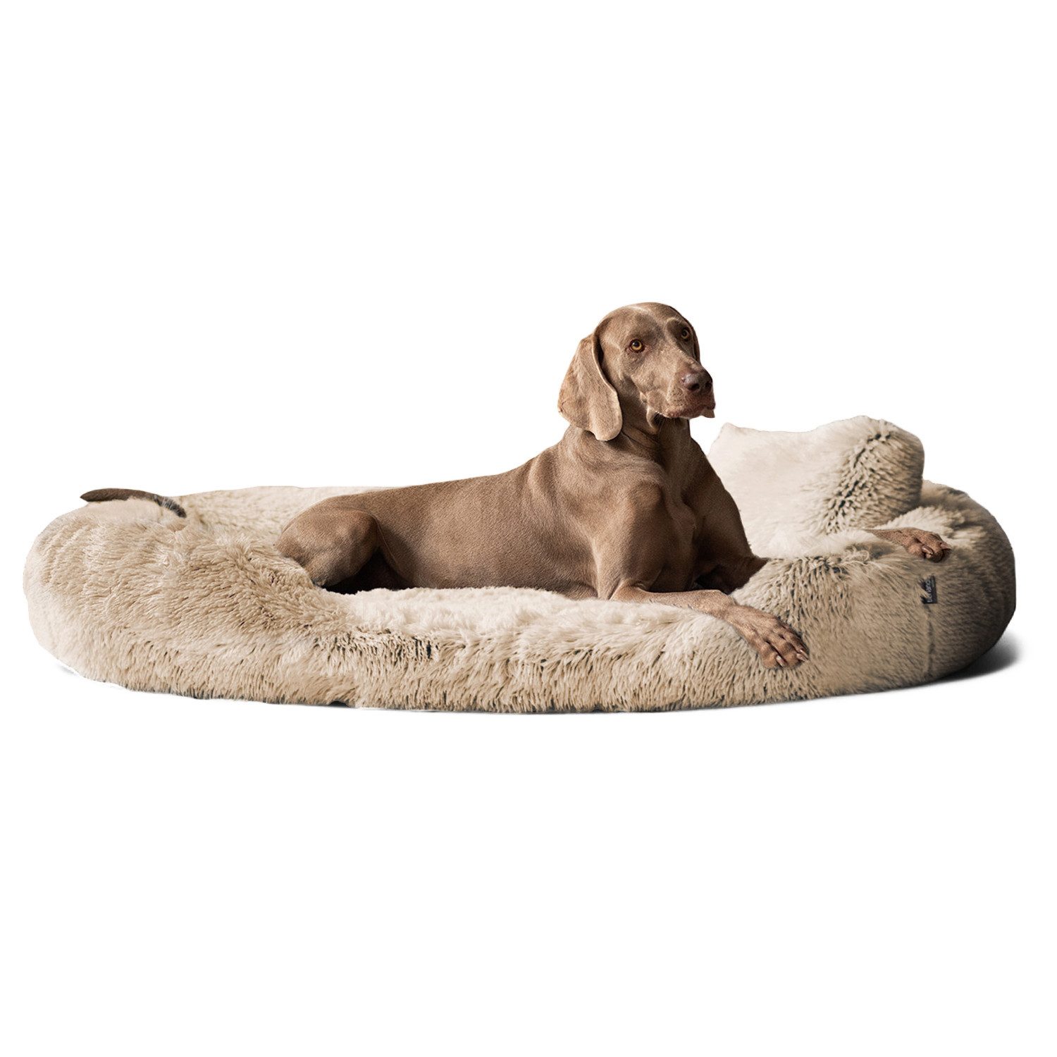 tierlando® Tierbett Orthopädisches Hundebett PAMELA Shaggy kuscheliger Langflor