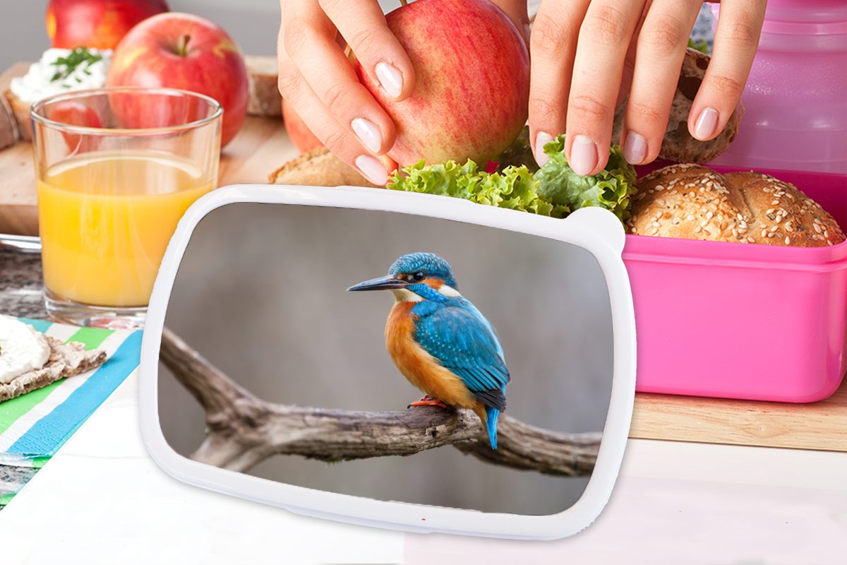 MuchoWow Lunchbox Eisvogel Kunststoff Kunststoff, Kinder, Mädchen, - für Zweige Brotdose Porträt, rosa Erwachsene, Snackbox, - Brotbox (2-tlg)