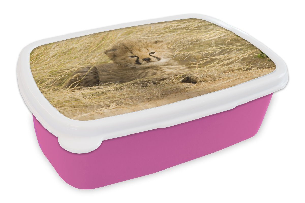 Jung Lunchbox rosa Gras, Kunststoff Erwachsene, - Mädchen, Kunststoff, Brotbox MuchoWow Kinder, Gepard (2-tlg), - Brotdose für Snackbox,