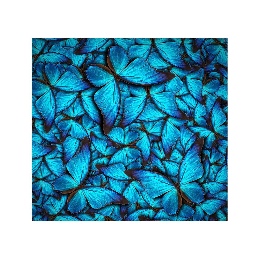 192, Fototapete Schmetterlinge Natur Fototapete liwwing Blau no. Tiere liwwing Tiere