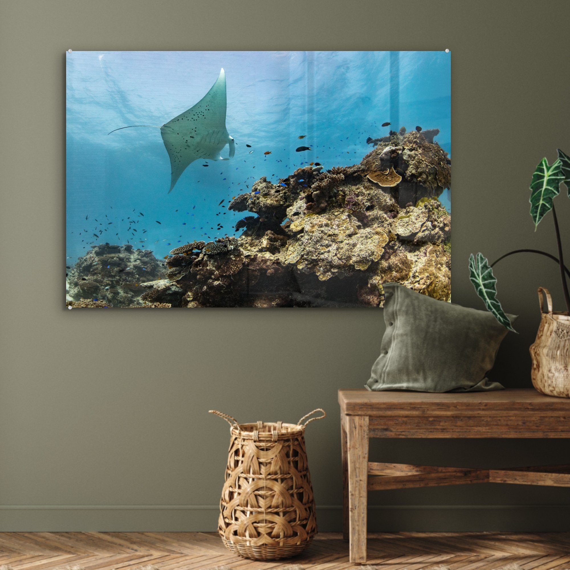 MuchoWow Acrylglasbild Die Reefs, des Korallen St), Barrier Schlafzimmer Acrylglasbilder (1 Great Wohnzimmer &