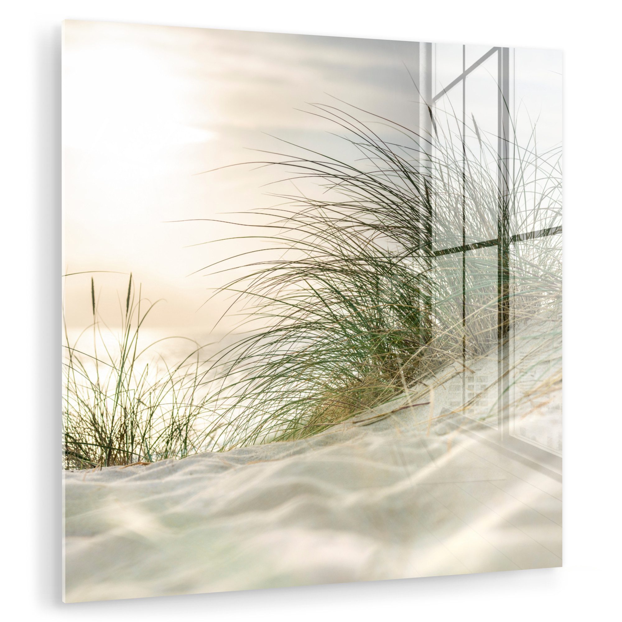 MuchoWow Acrylglasbild Dünen mit Strandhafer in günstig online kaufen