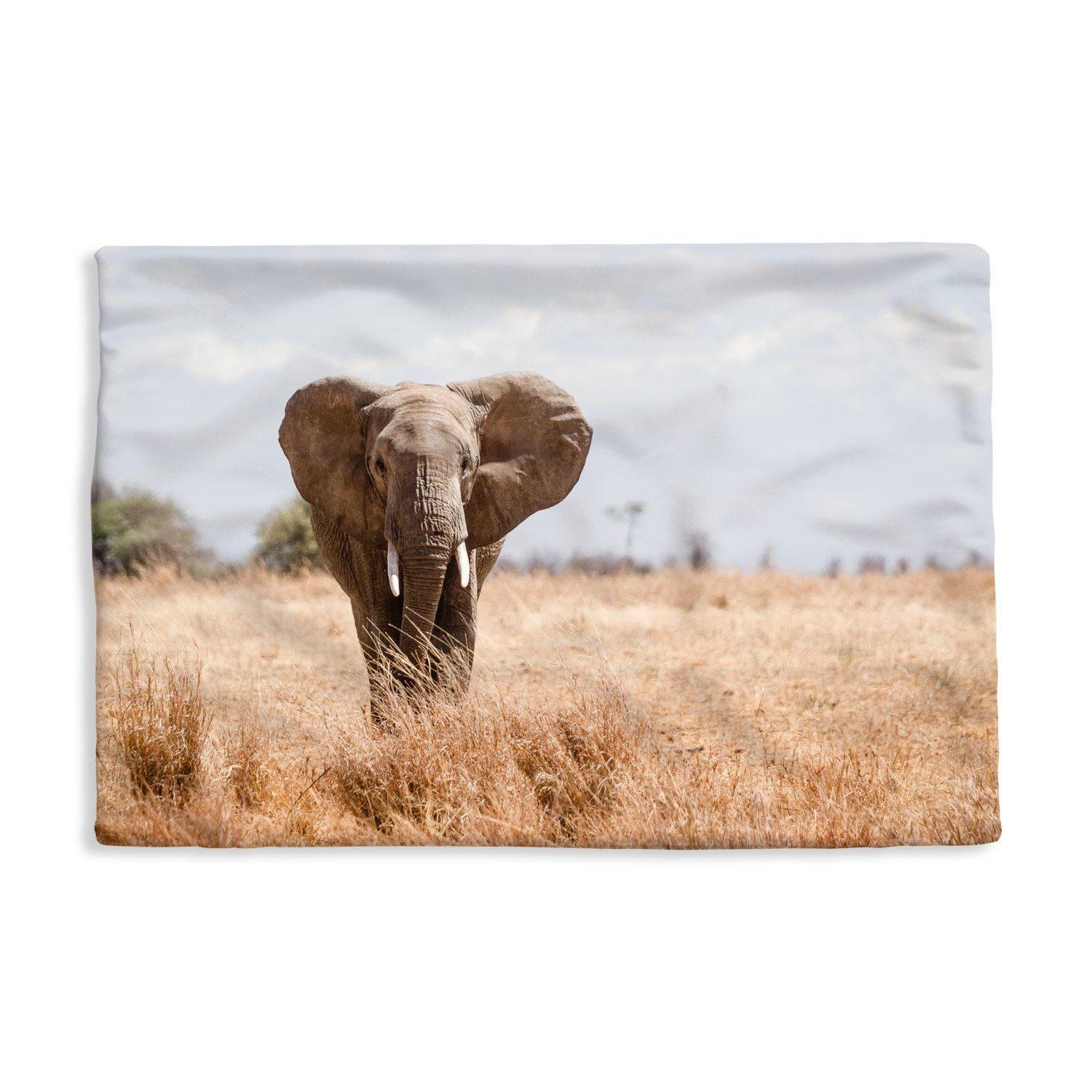 MuchoWow Dekokissen Elefant - Natur - Tiere - Porträt, Kissenbezug für Sofa, Dekorationkissen, Kissenhüllen, 50x30 cm