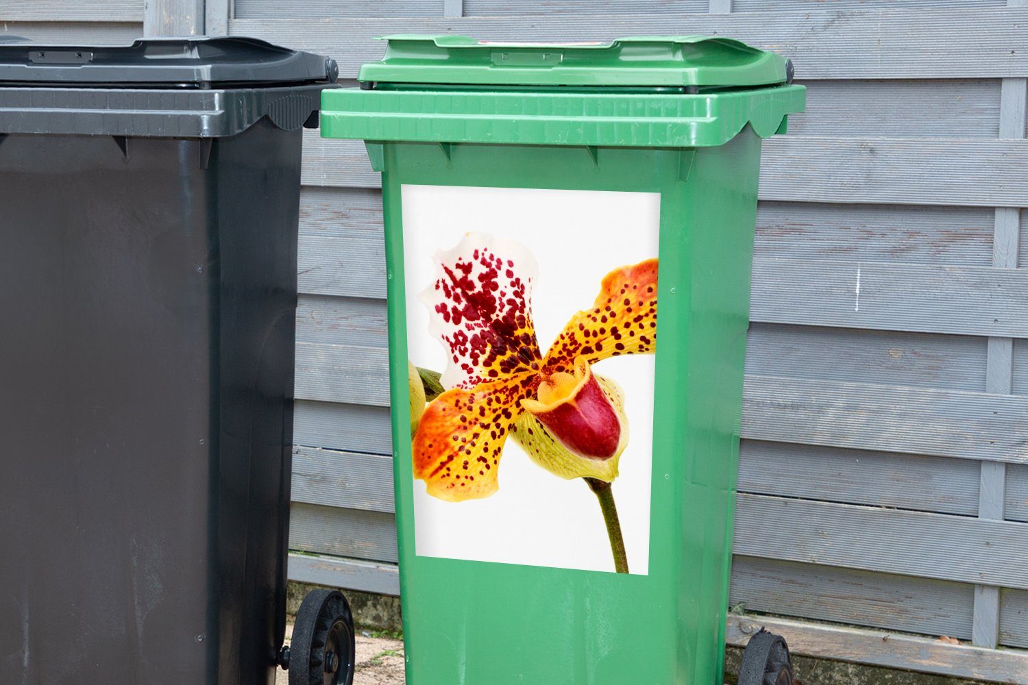 Orchidee (1 Container, MuchoWow Mülltonne, St), Wandsticker Abfalbehälter Orange Mülleimer-aufkleber, Sticker,