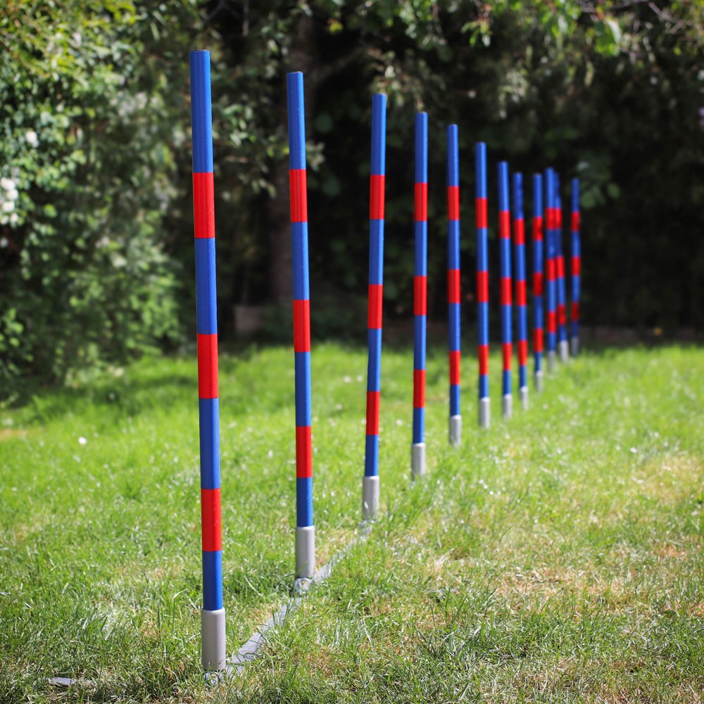 Procyon Agility-Hürde PROCYON Dog Agility Profi Alu V-Slalom