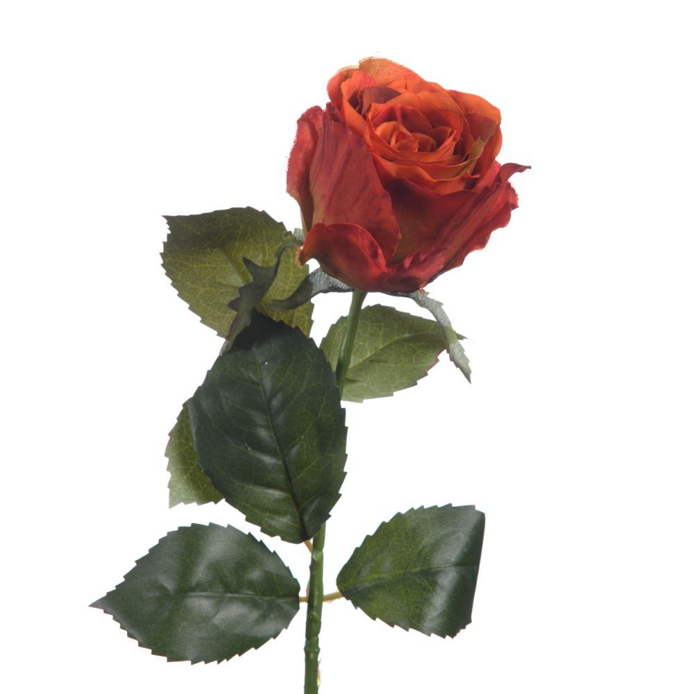 Kunstblume Kunststielblume Rose Seidenblumenblüte – Höhe 56 cm - Rostrot, Goods NL, Höhe 56 cm
