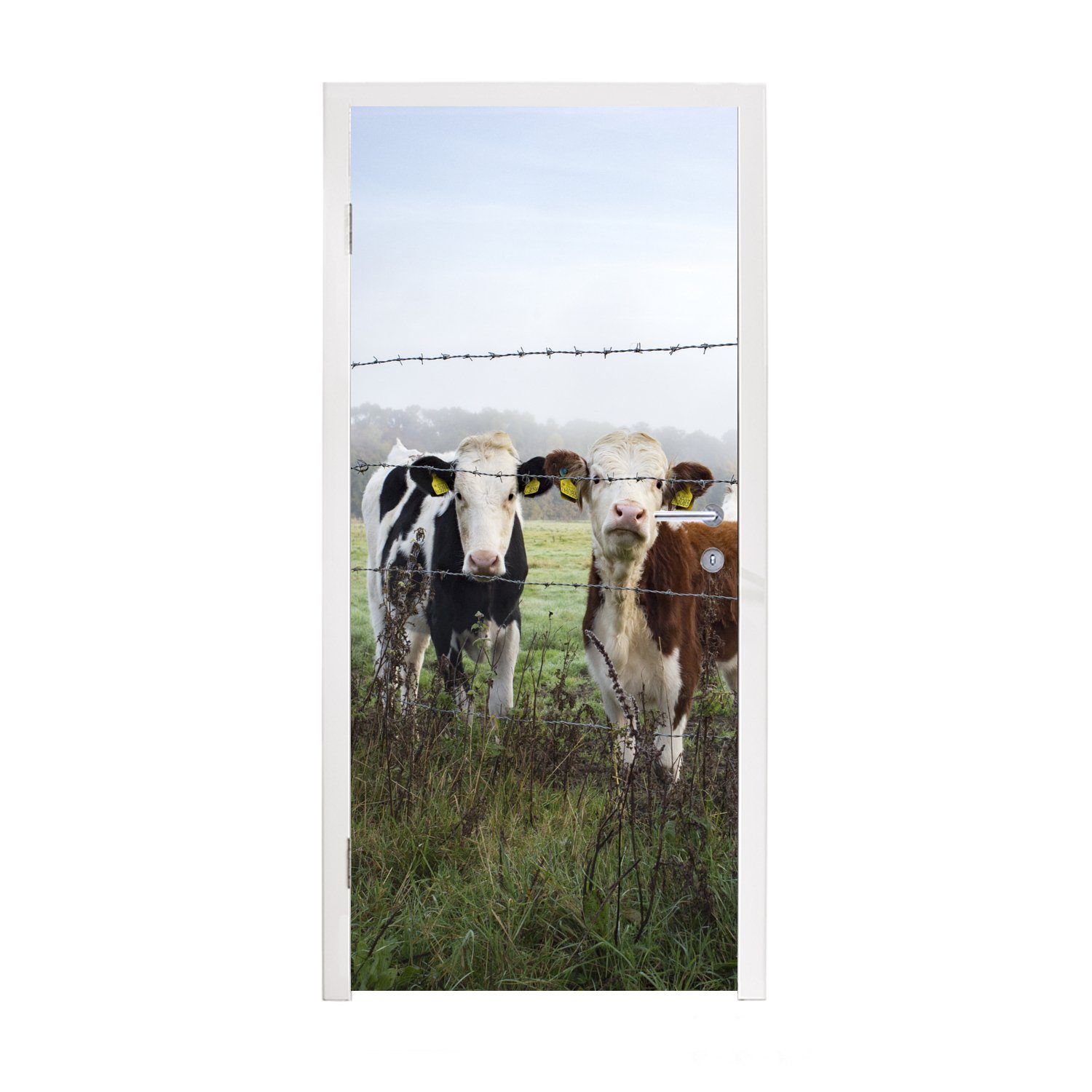 MuchoWow Türtapete Kühe - Zaun - Friesland, Matt, bedruckt, (1 St), Fototapete für Tür, Türaufkleber, 75x205 cm