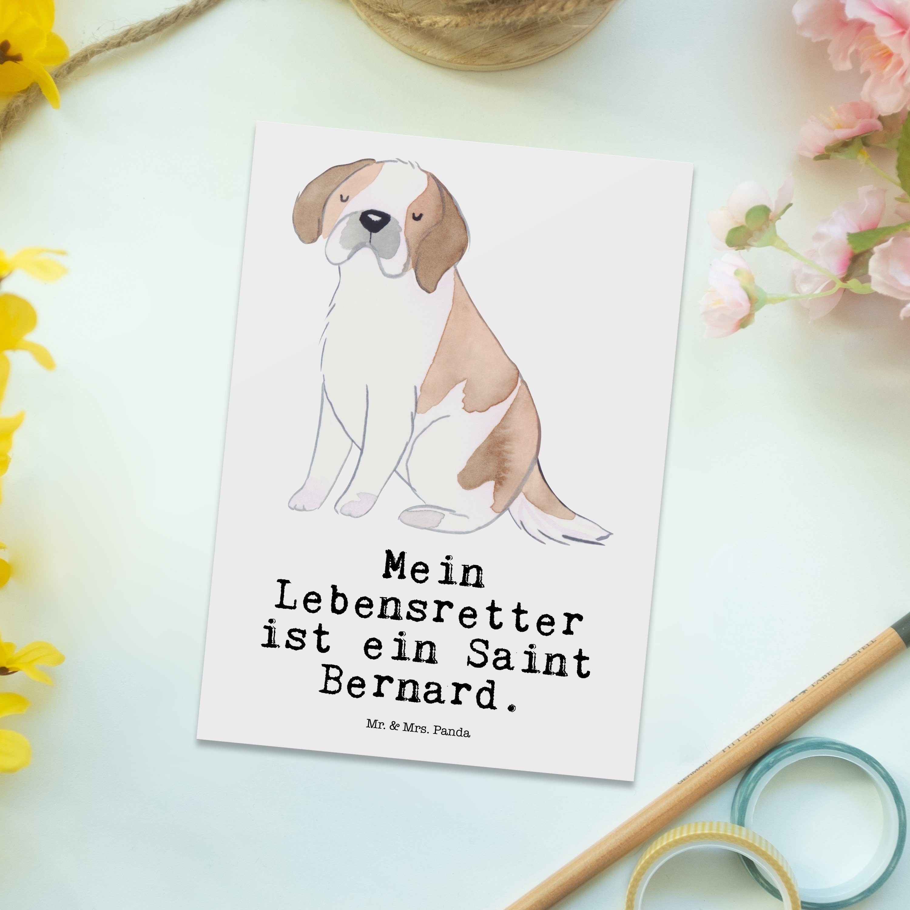 Perro - Bernard Bernardo, Panda Geschenk, Mr. Saint Weiß Mrs. San Lebensretter Wel Postkarte & -