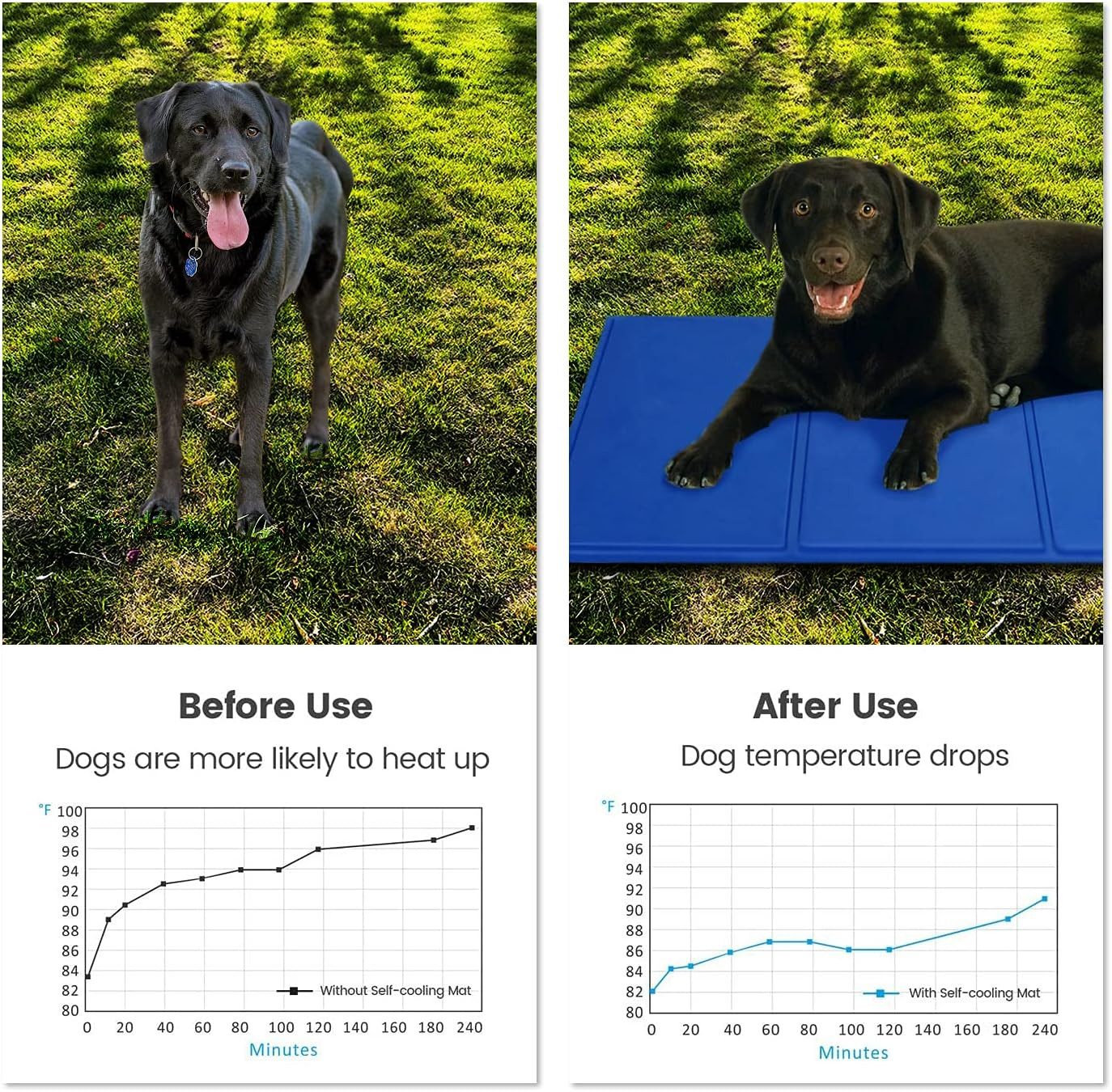 LA CUTE Hundematte Selbstkühlende Haustiermatte für günstig online kaufen