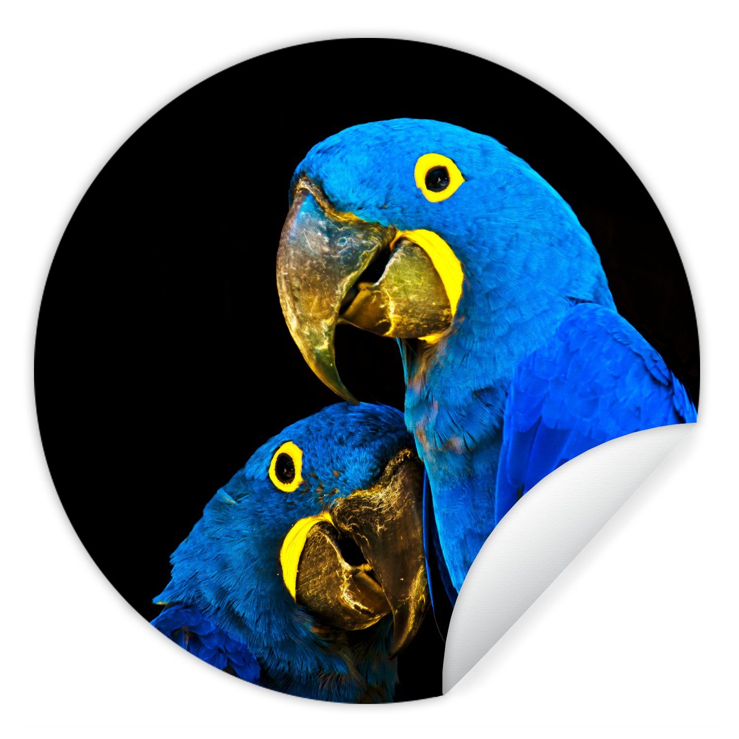 MuchoWow Wandsticker Papagei - Vogel - Federn - Blau (1 St), Tapetenkreis für Kinderzimmer, Tapetenaufkleber, Rund, Wohnzimmer